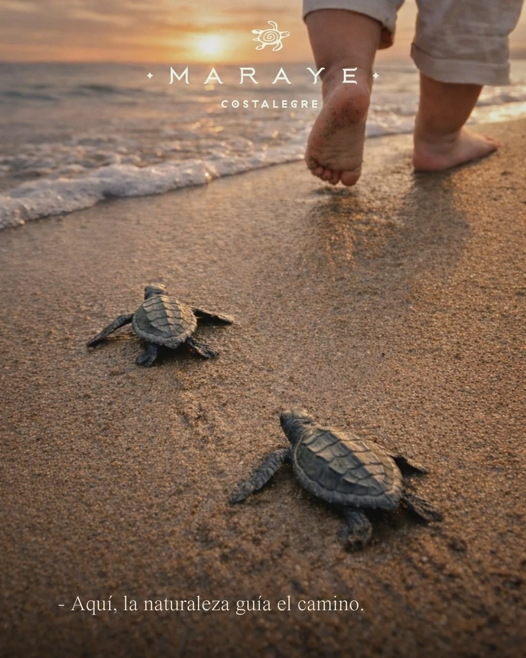 Donde las historias comienzan desde el primer paso.

En Maraye, crecer en familia significa despertar junto al mar, caminar entre naturaleza viva y ver c&oacute;mo nuevas generaciones encuentran su propio camino.

Un lugar donde los recuerdos se cons