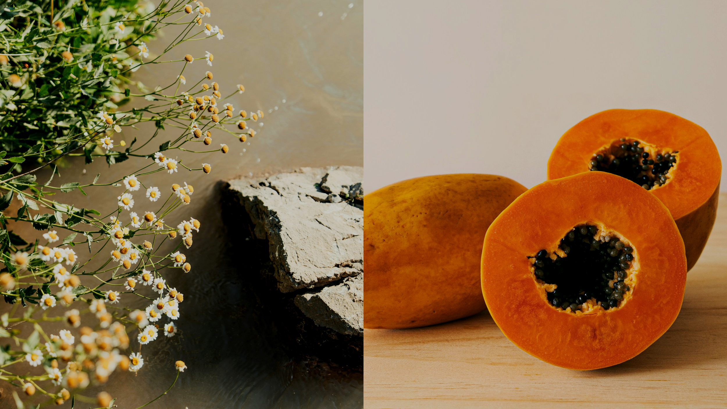 Split image of a rock in a lake surrounded by wild flowers, and fresh cut papayas on a table.