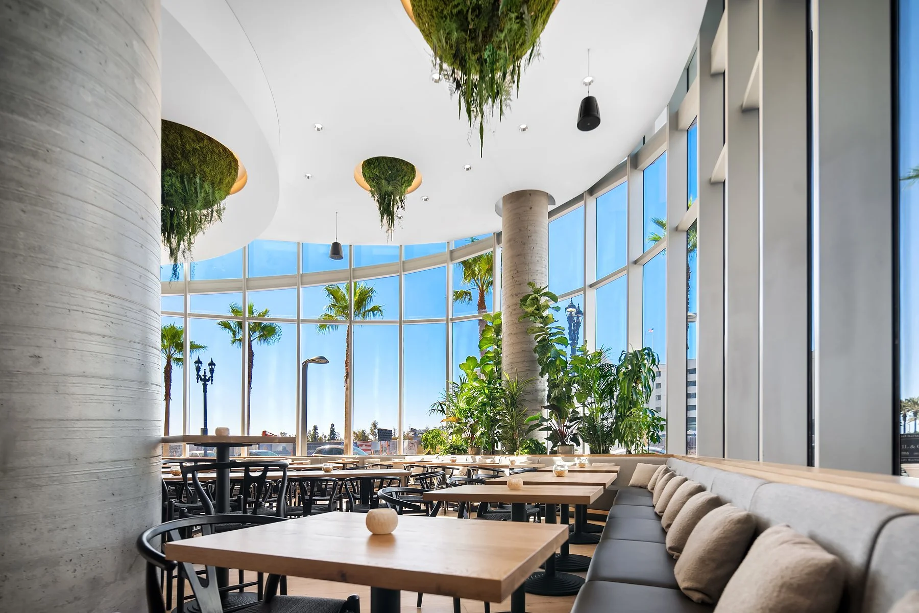 Modern restaurant interior with large curved glass windows, wooden tables, black chairs, and greenery including potted plants and hanging moss, with a view of palm trees outside.
