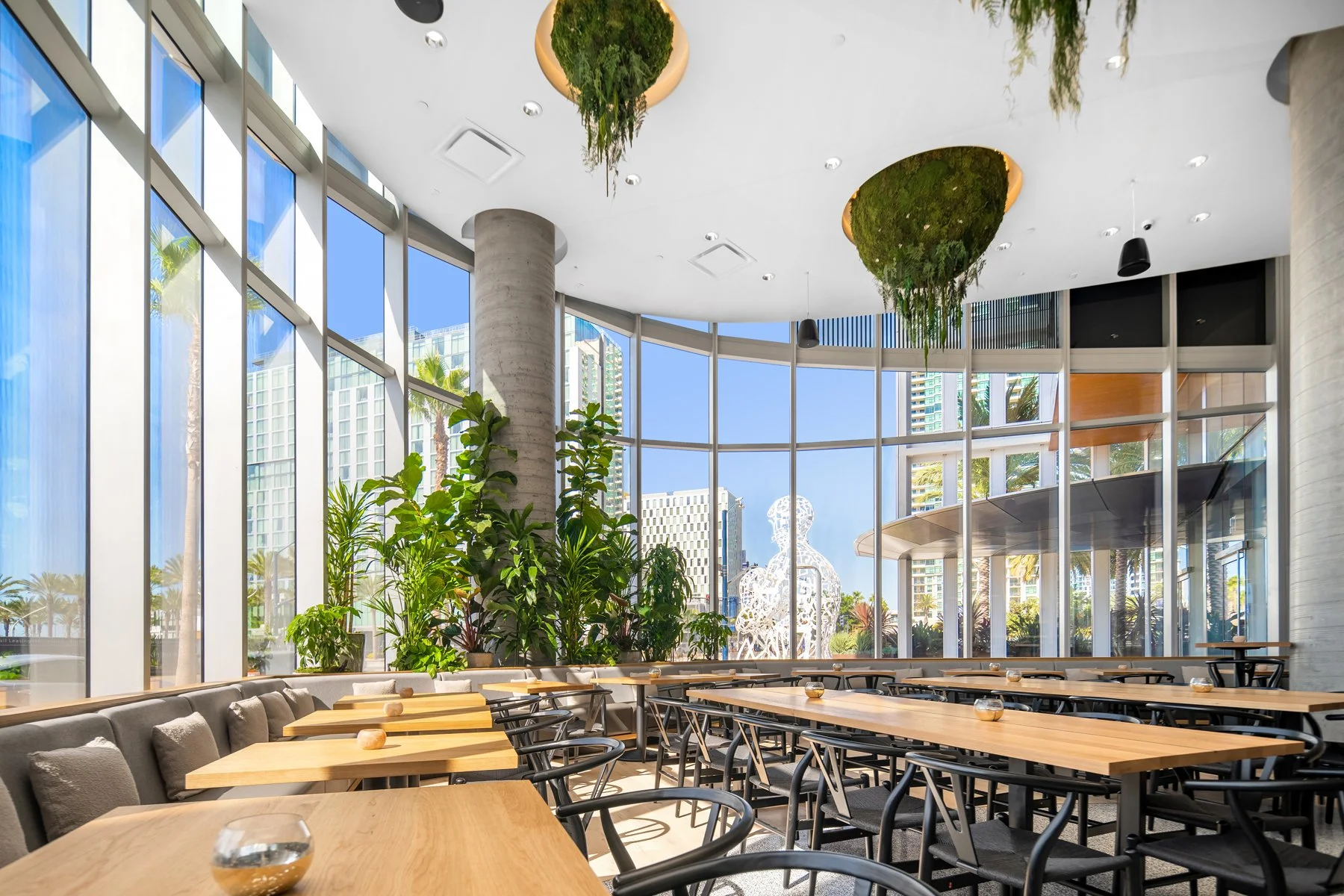 Modern restaurant interior with large curved glass windows, green plants, black chairs, wooden tables, and hanging moss decor, overlooking city buildings and palm trees.