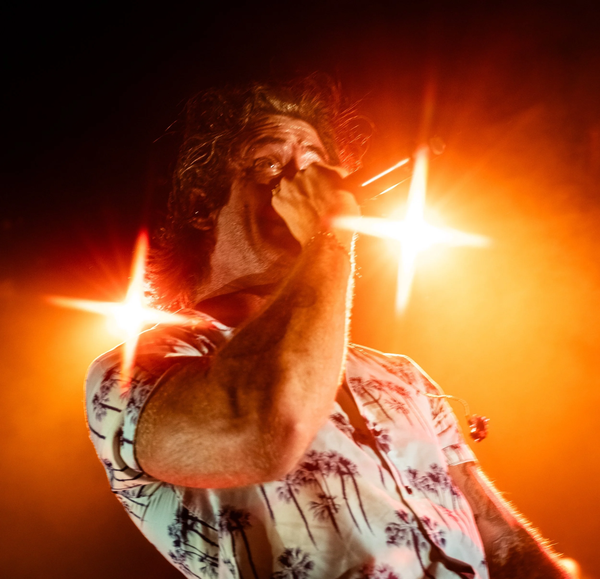 dgd8.jpeg
