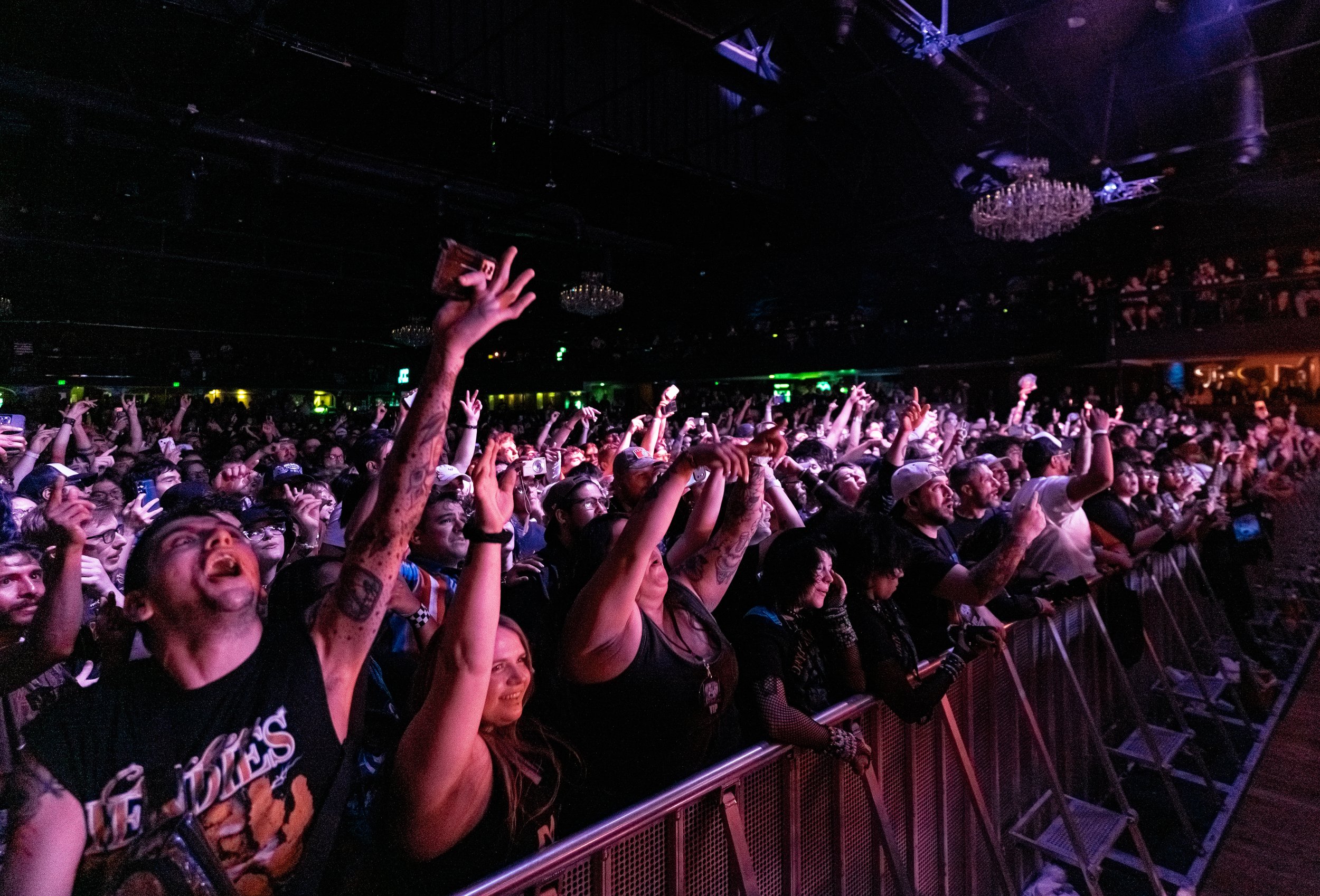 dgd14.jpeg
