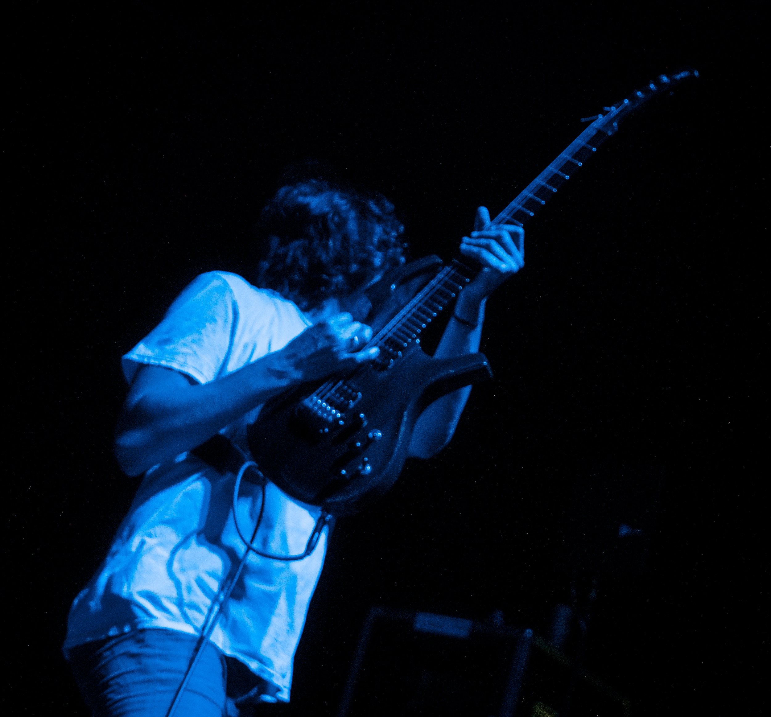 horse the band7.jpeg
