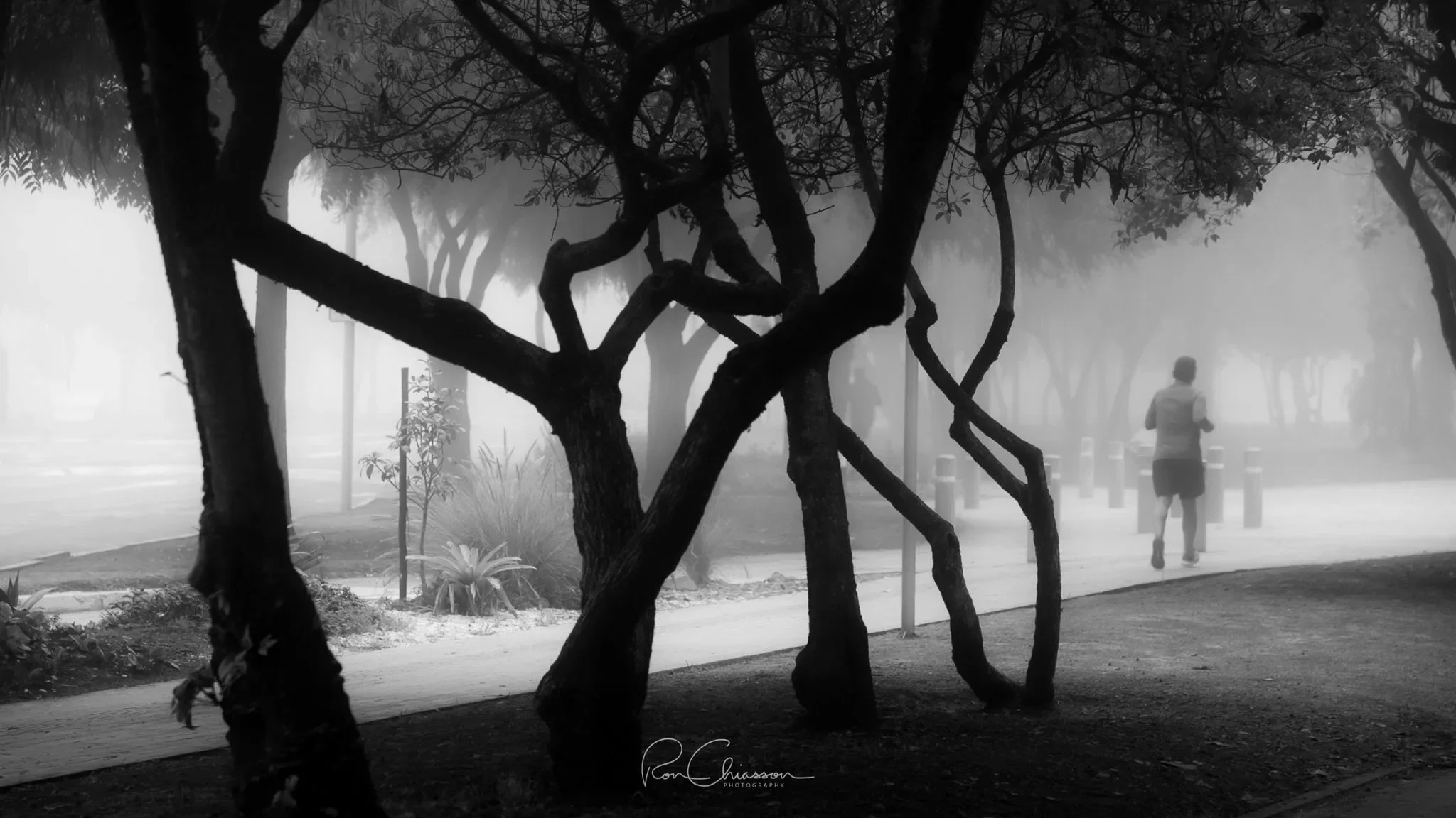 A jogger exercising in the fog along La Carolina Park, Quito. ©Ron Chiasson Photography @rsonphoto.