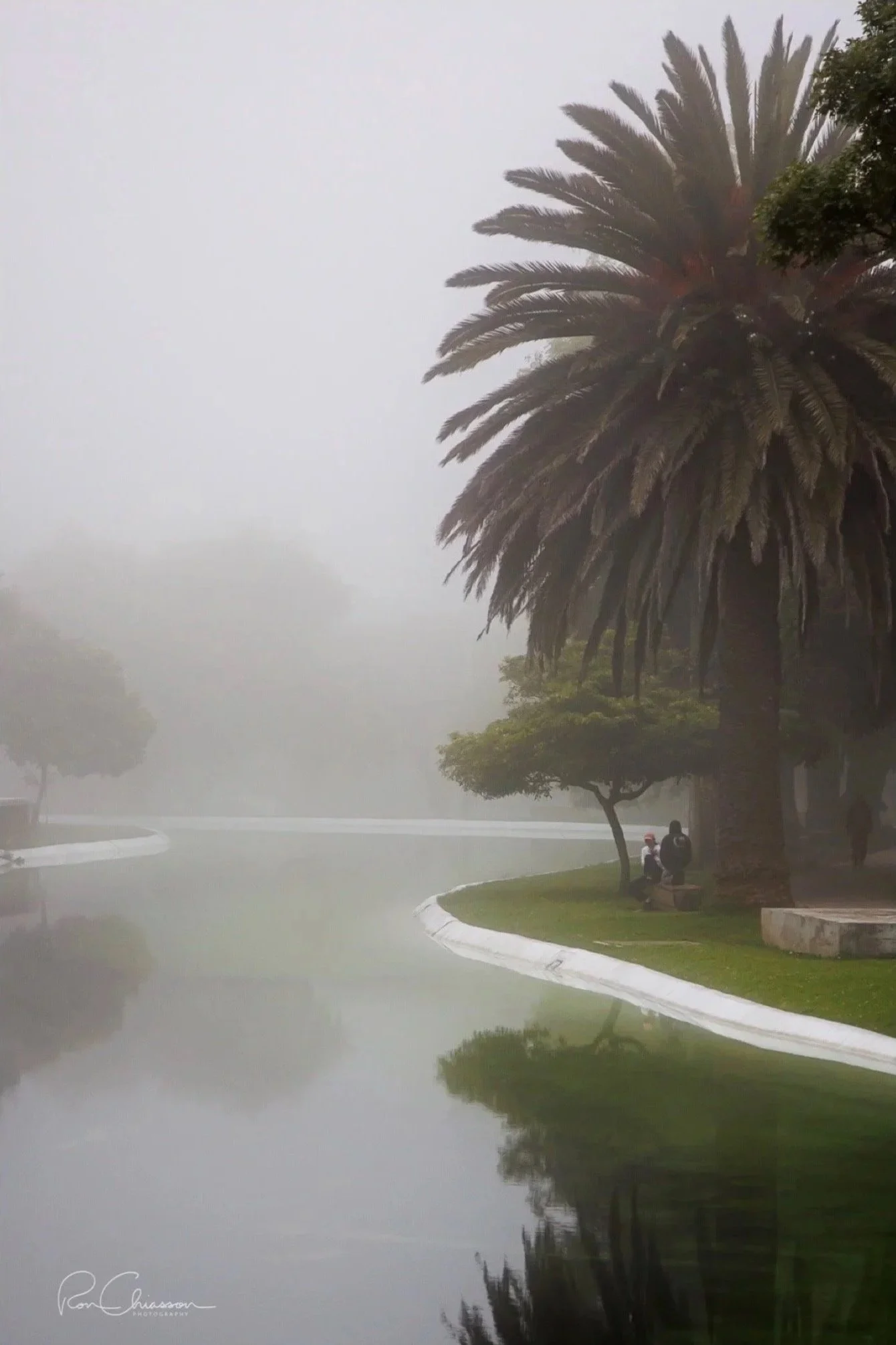 A couple having a conversation in the fog in La Carolina Park, Quito. ©Ron Chiasson Photography @rsonphoto.