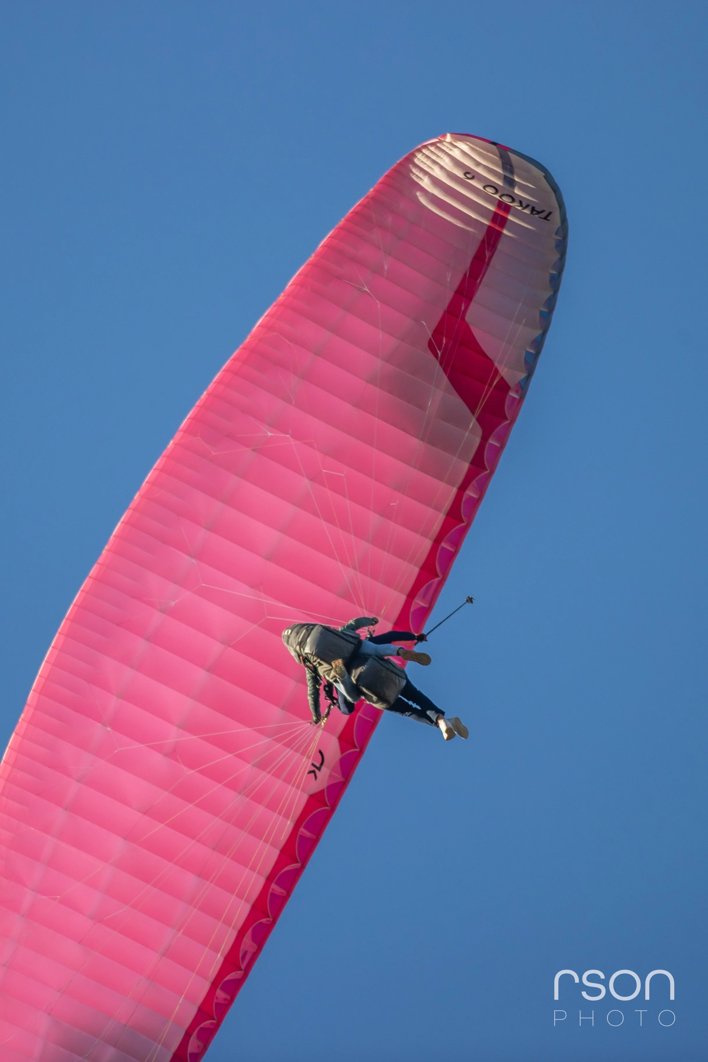 A person paragliding with a bright pink wing through clear blue sky.