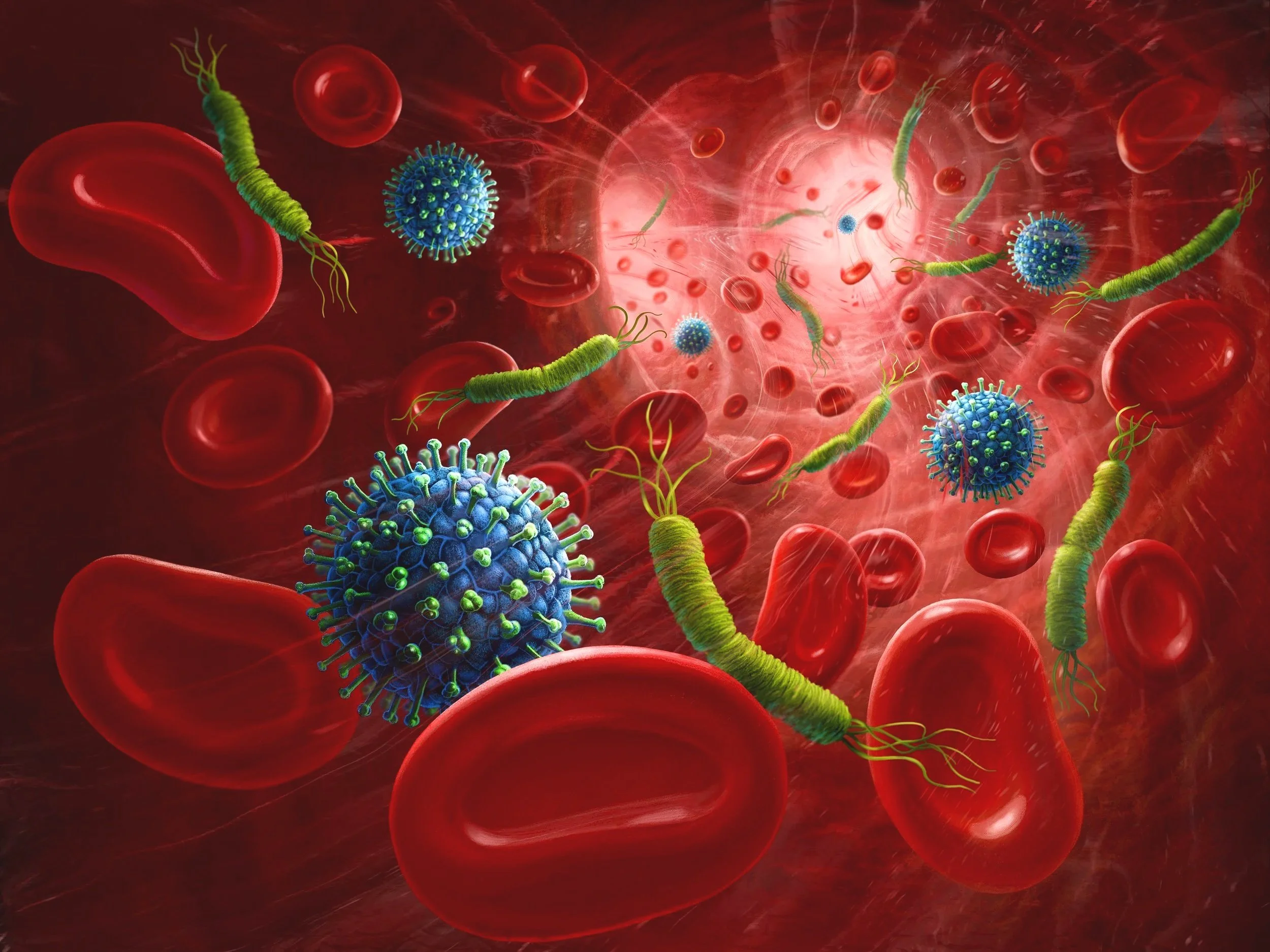 Bloodstream+Pathogens+%28i%29+B-5.jpg