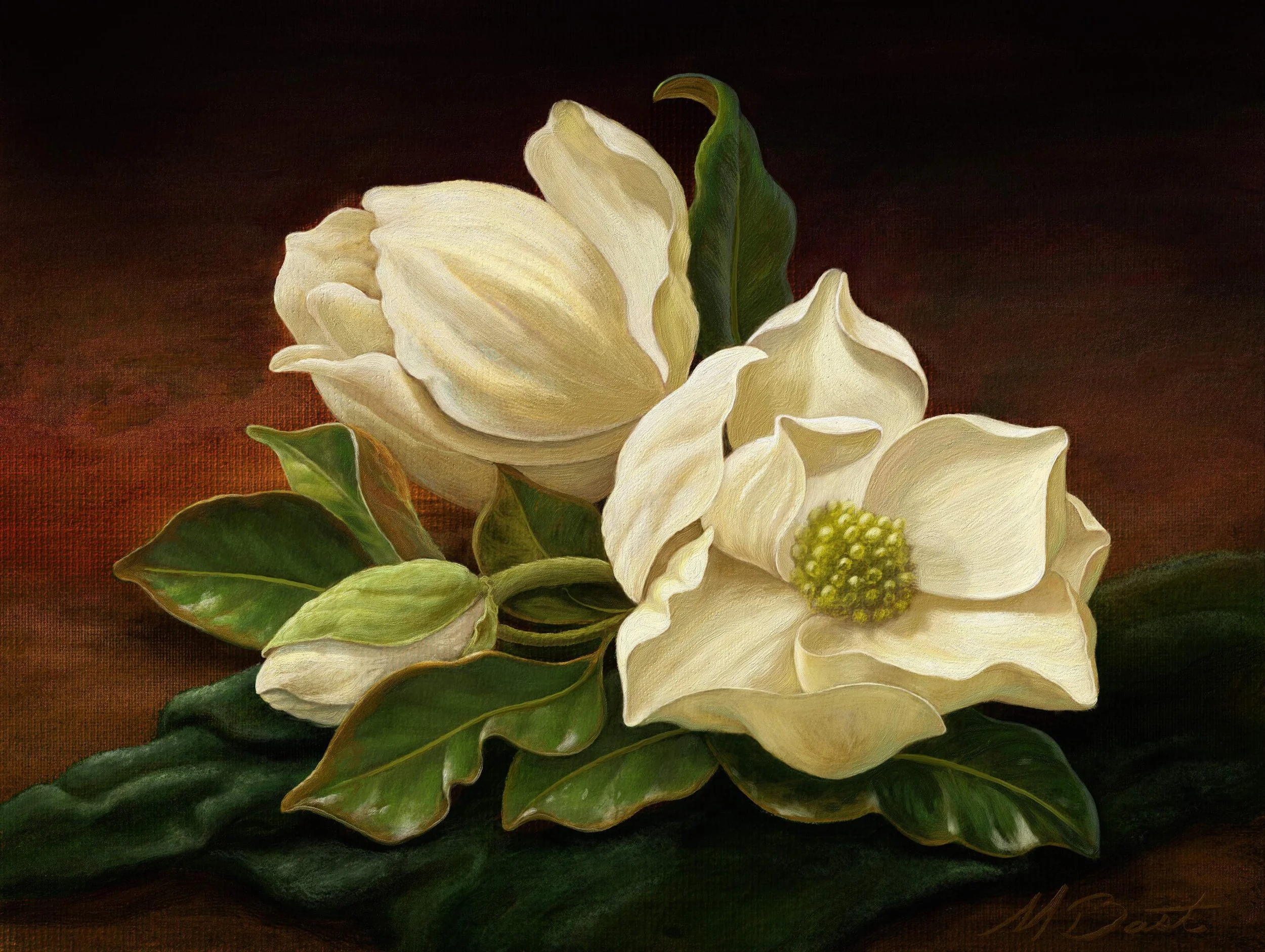 Martins Magnolia's.jpg