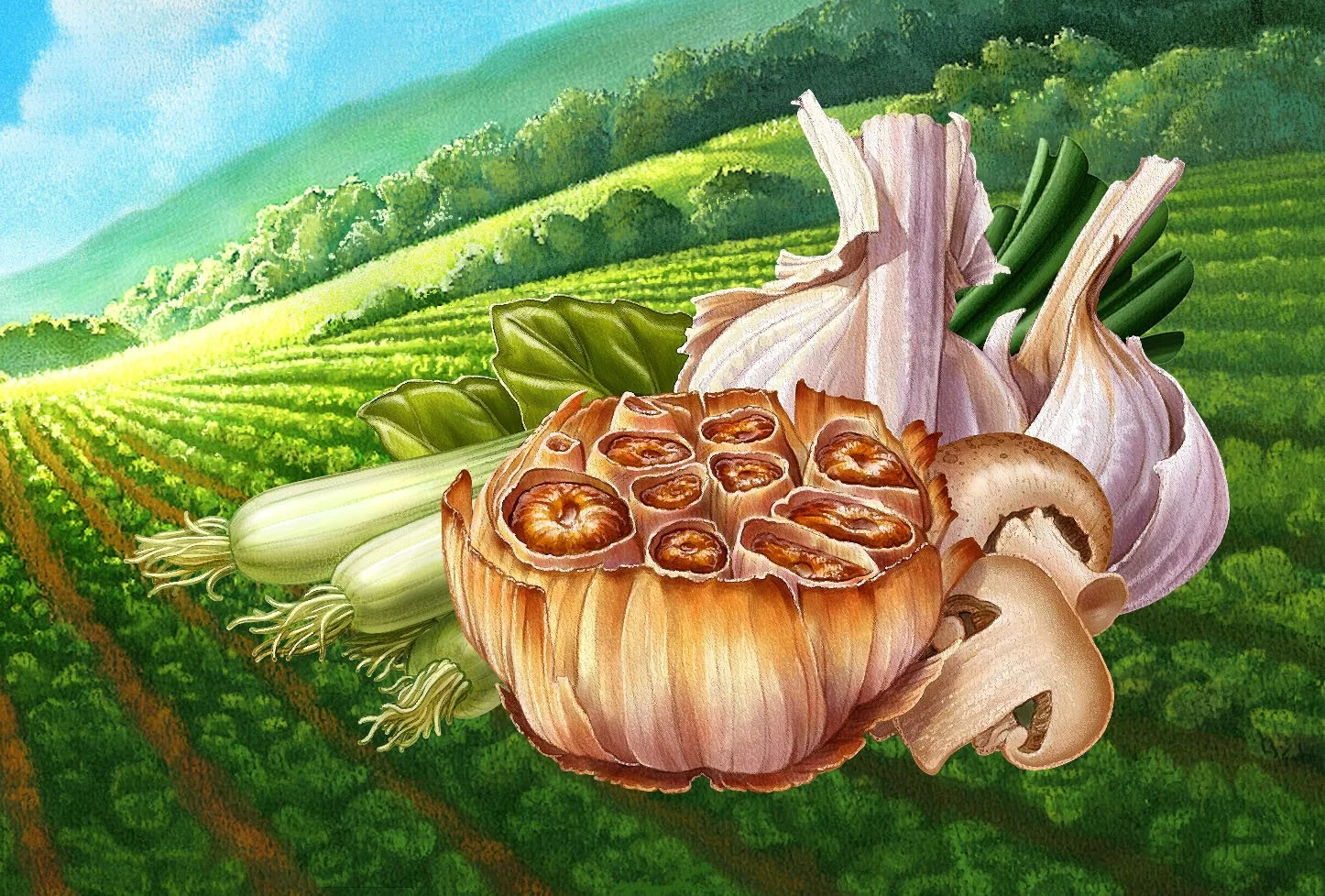 Roasted Garlic(i).jpg