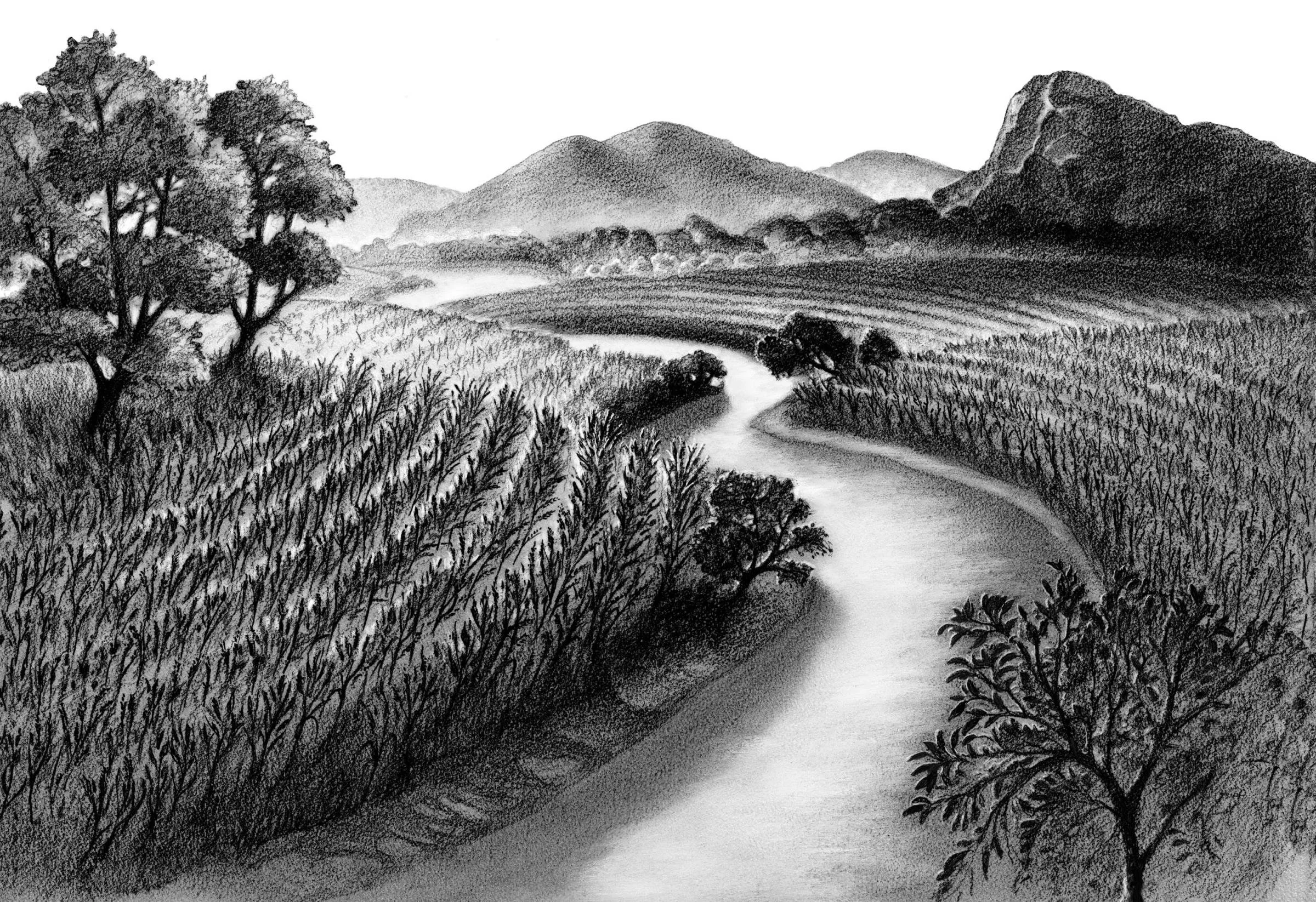 Eco-Grain Detail.jpg