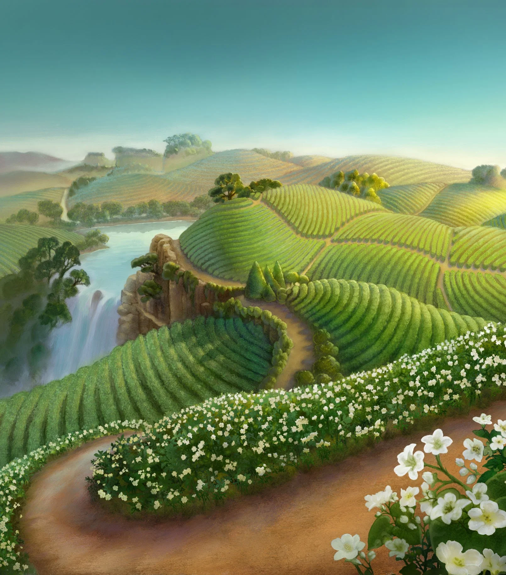 landscape