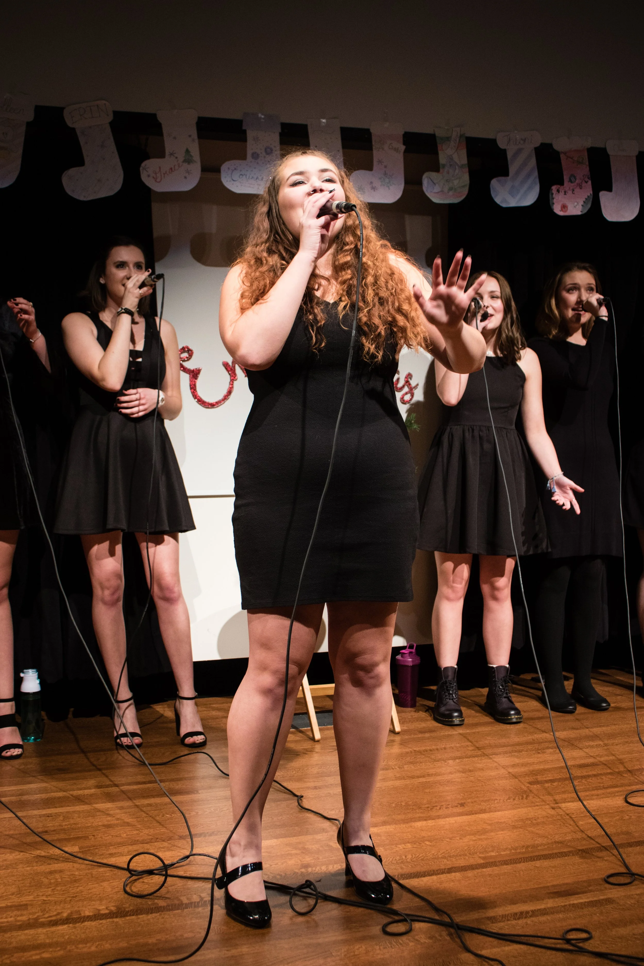 The Enchantments Winter Show 2018