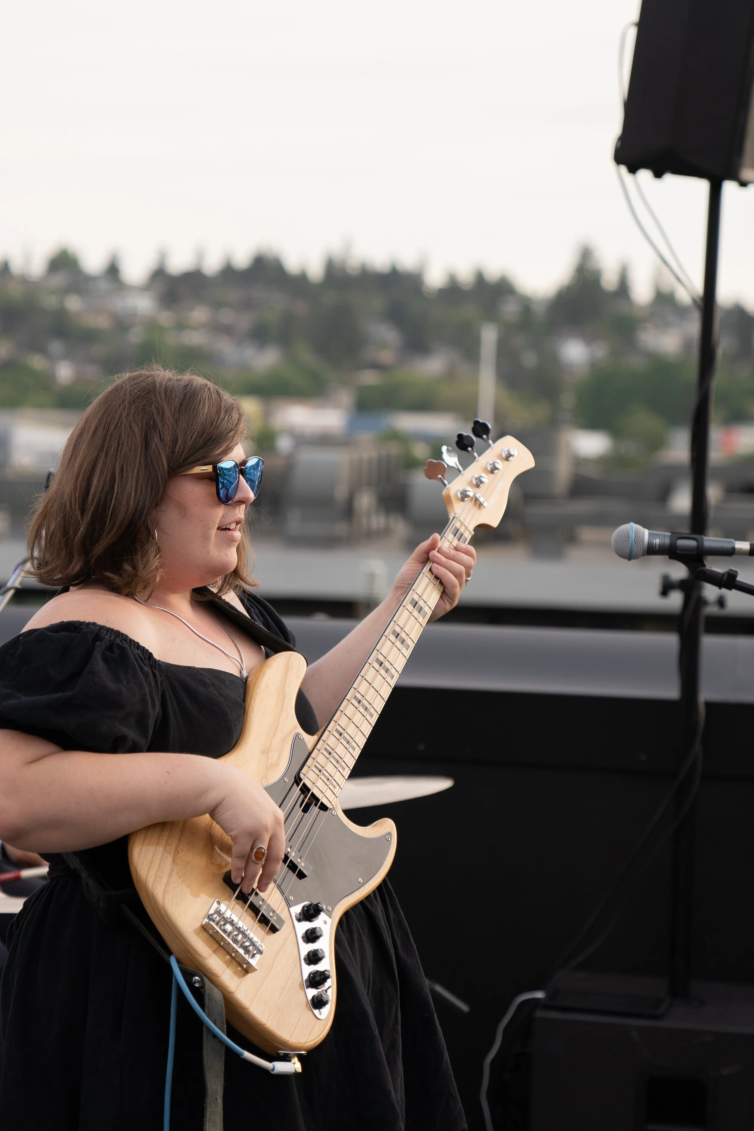 Concert Under the Stars