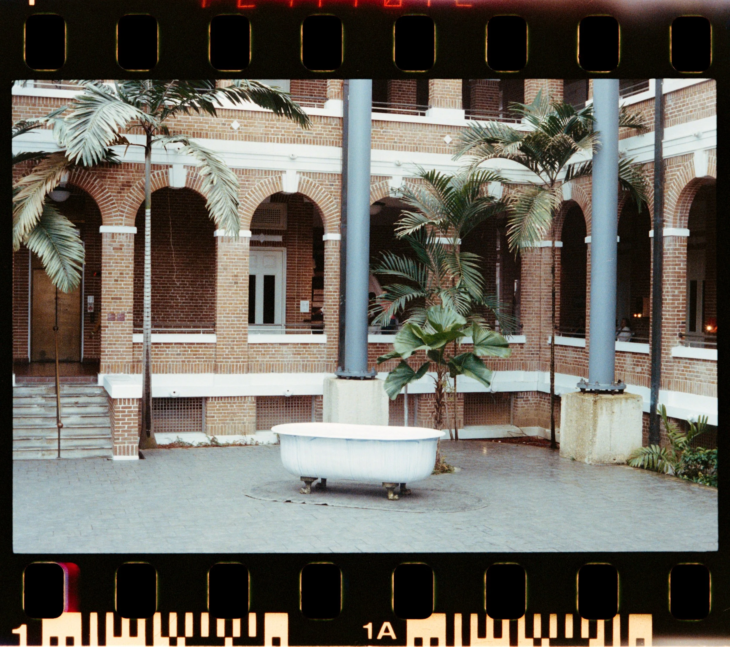 Jurnee Murray_R4244-001-positive.jpg