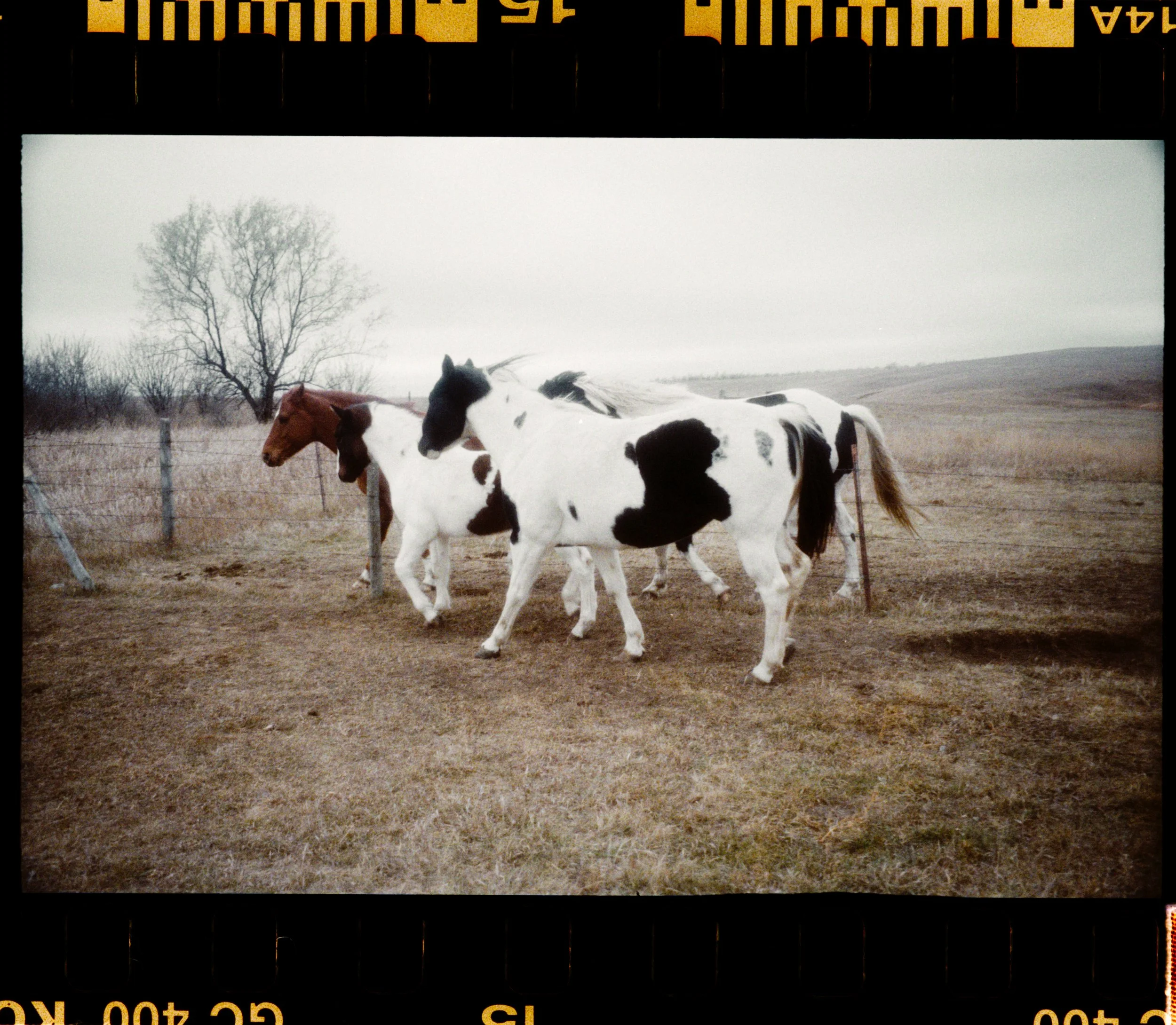 Jurnee Murray_R4243-039-positive.jpg