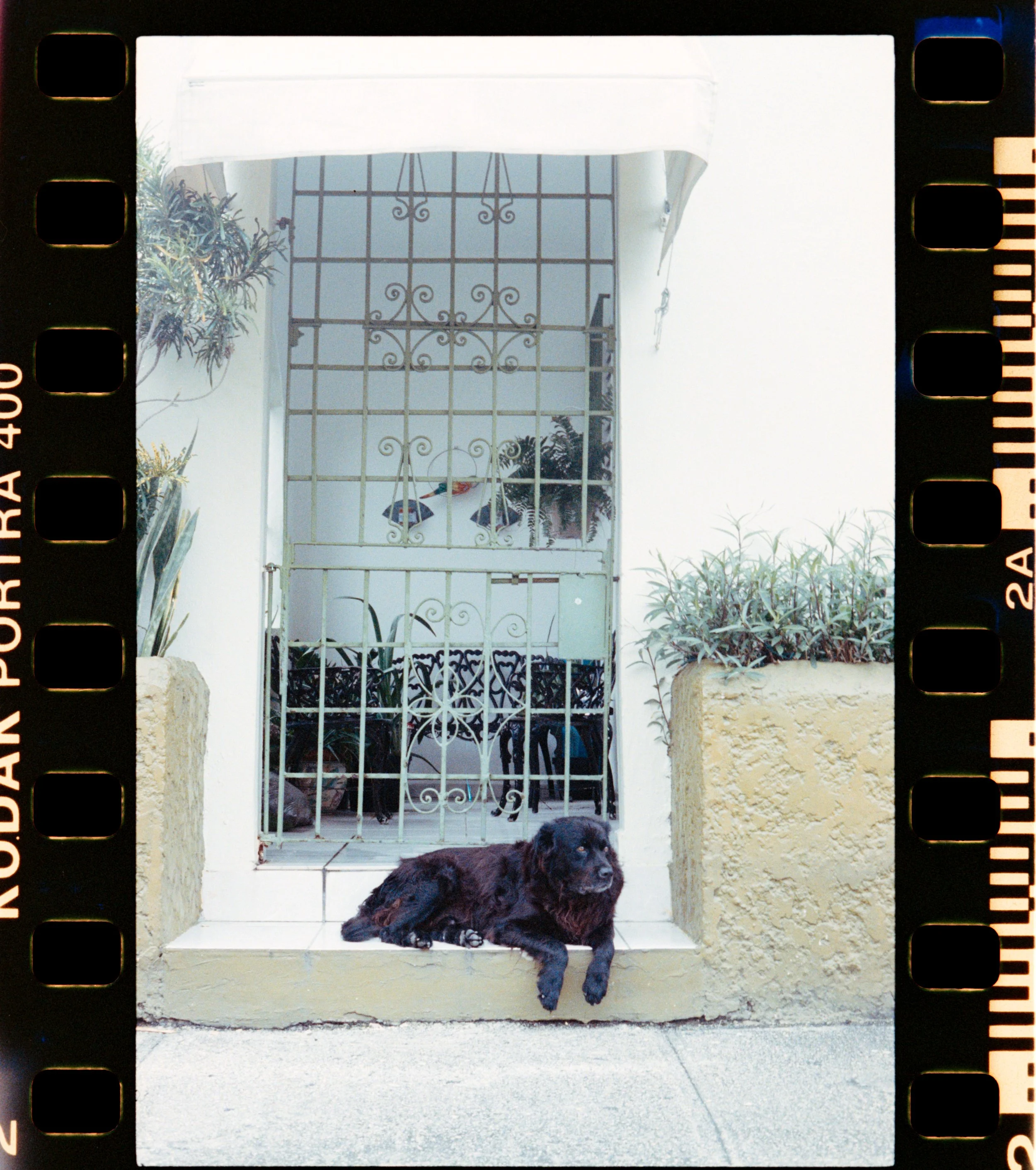 Jurnee Murray_R4244-002-positive.jpg