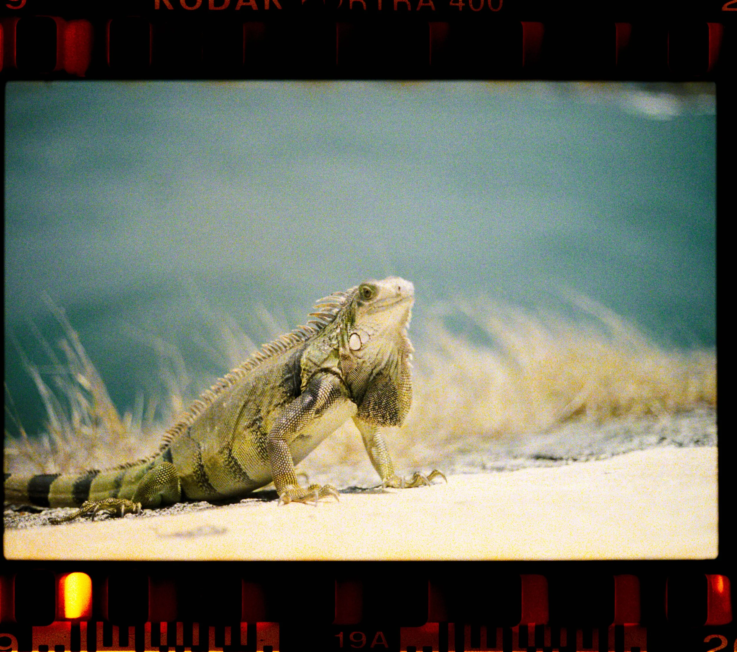 Jurnee Murray_R4244-019-positive.jpg