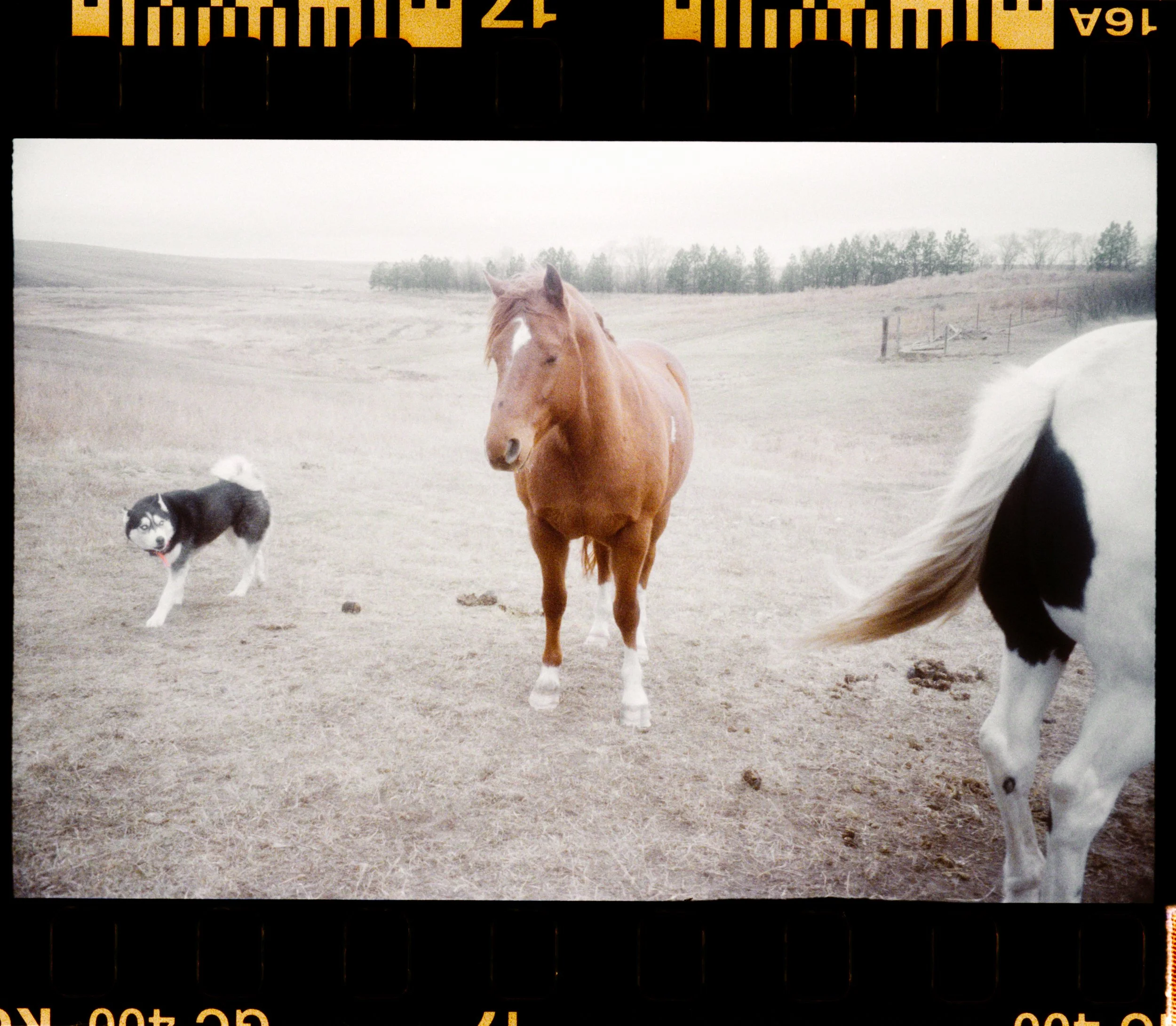 Jurnee Murray_R4243-041-positive.jpg