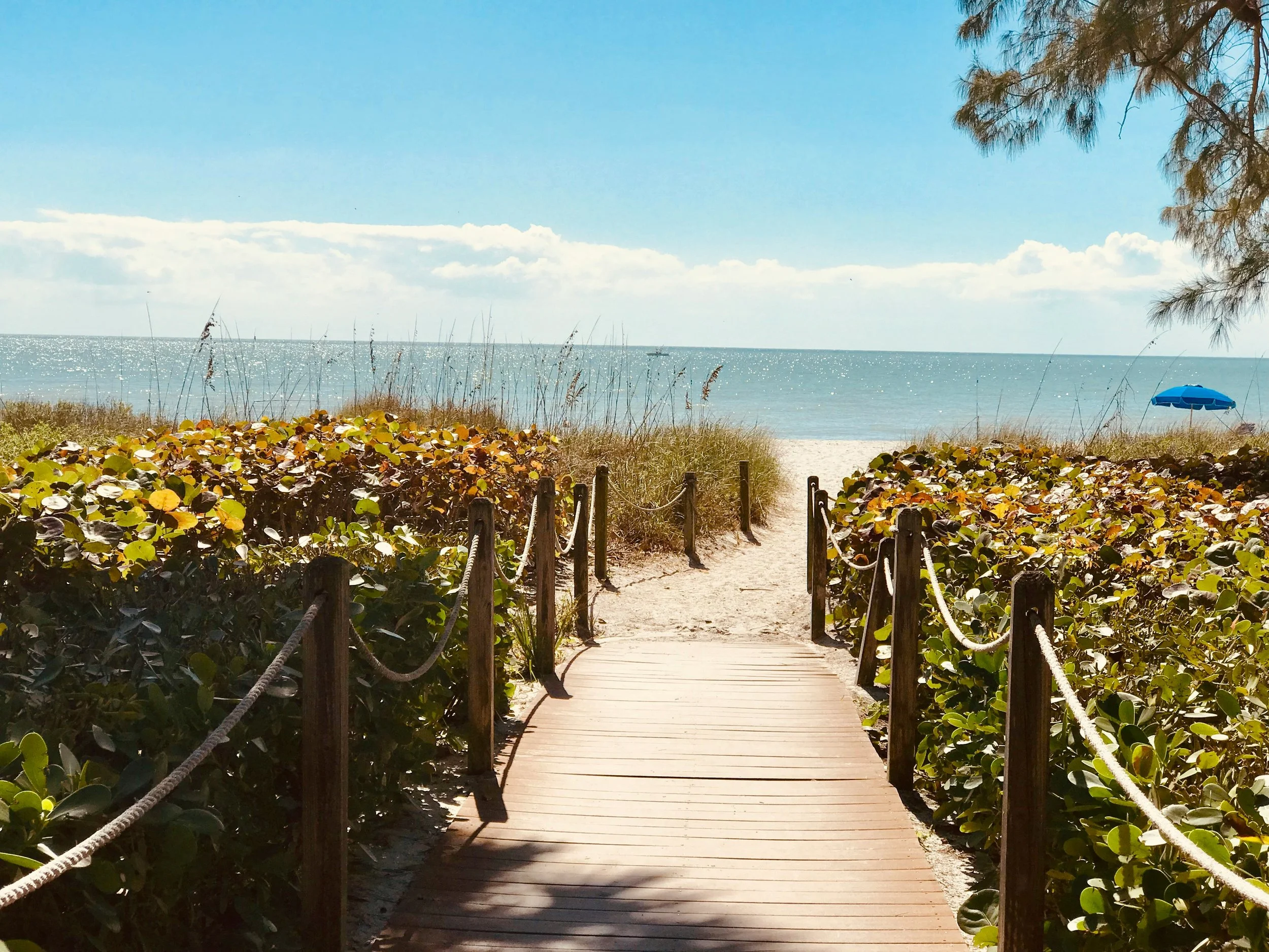 A wooden pathway leading toward a beach with sand, greenery on both sides, and the ocean in the background under a clear blue sky with some white clouds.