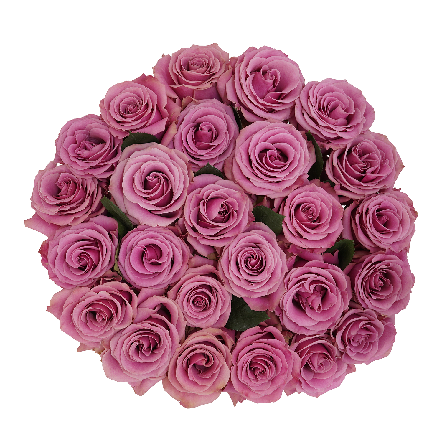 genviv-coquette-rose-3