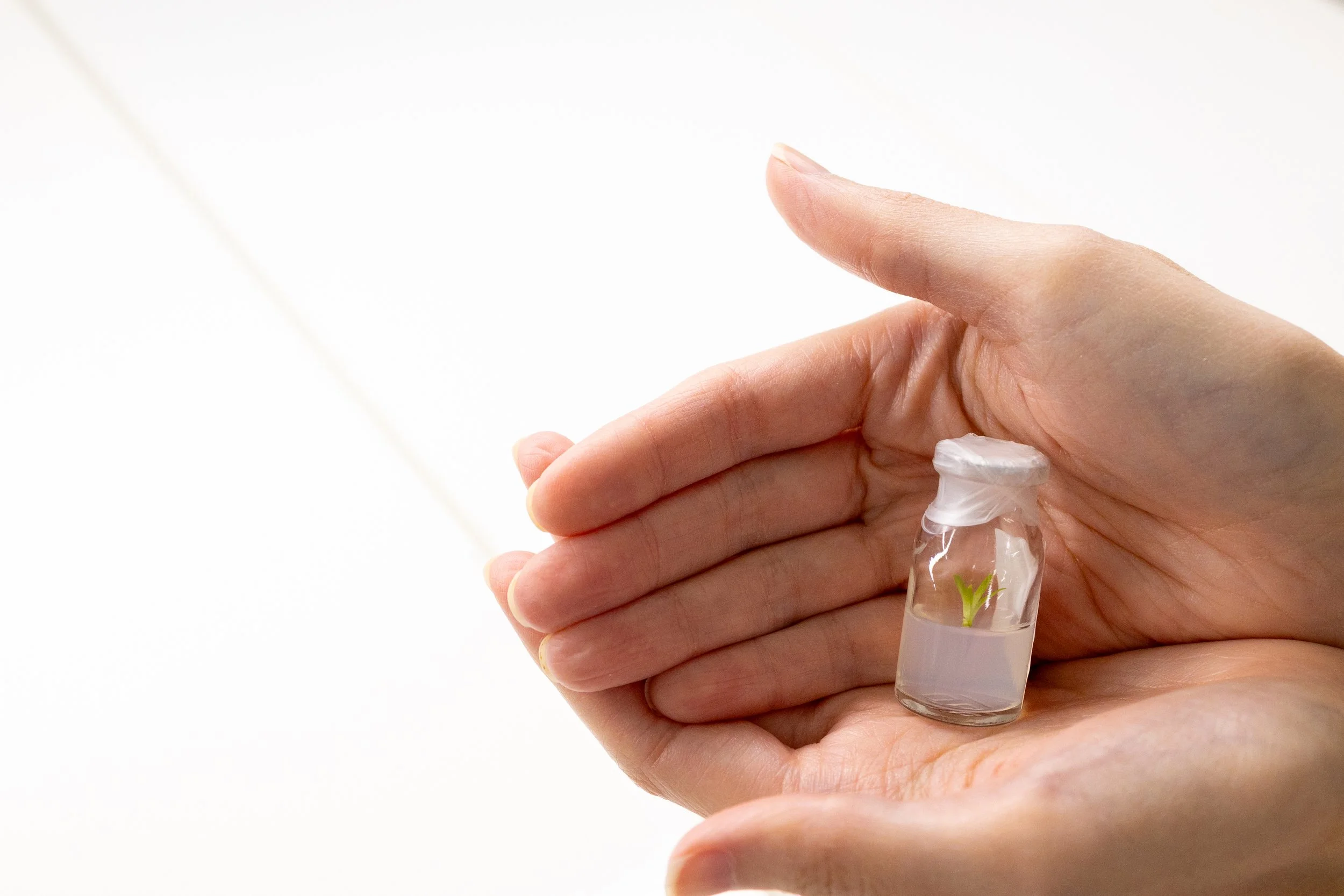 genviv-breeding-code-production