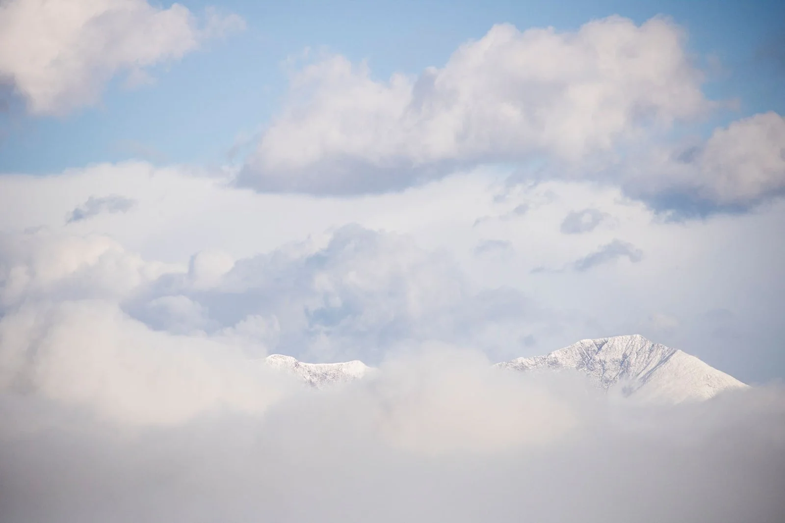 Breathe Easier: How ERVs and HRVs Revolutionize Your Indoor Air Quality