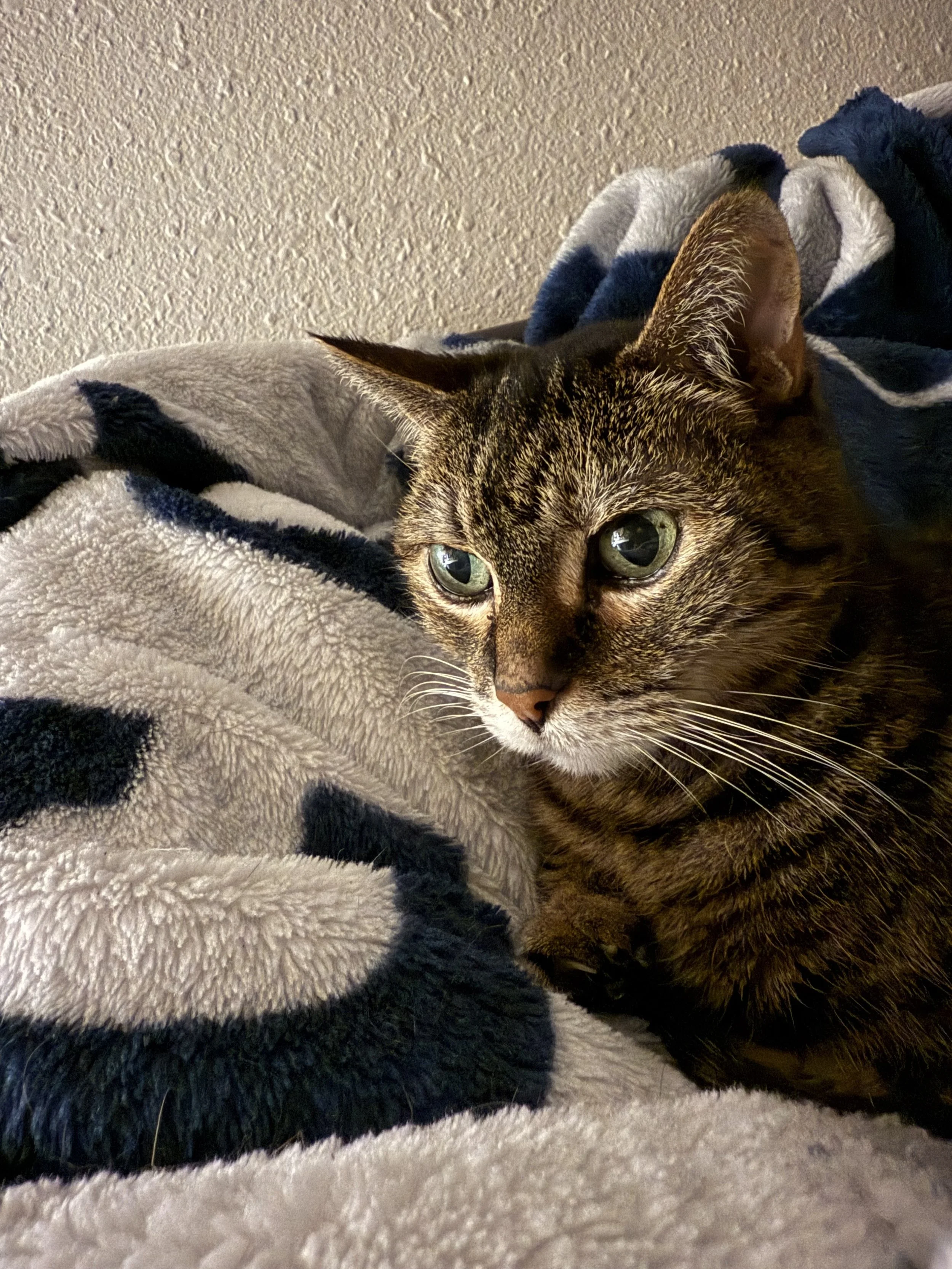 Georgia. Queen Mother, First of her name...