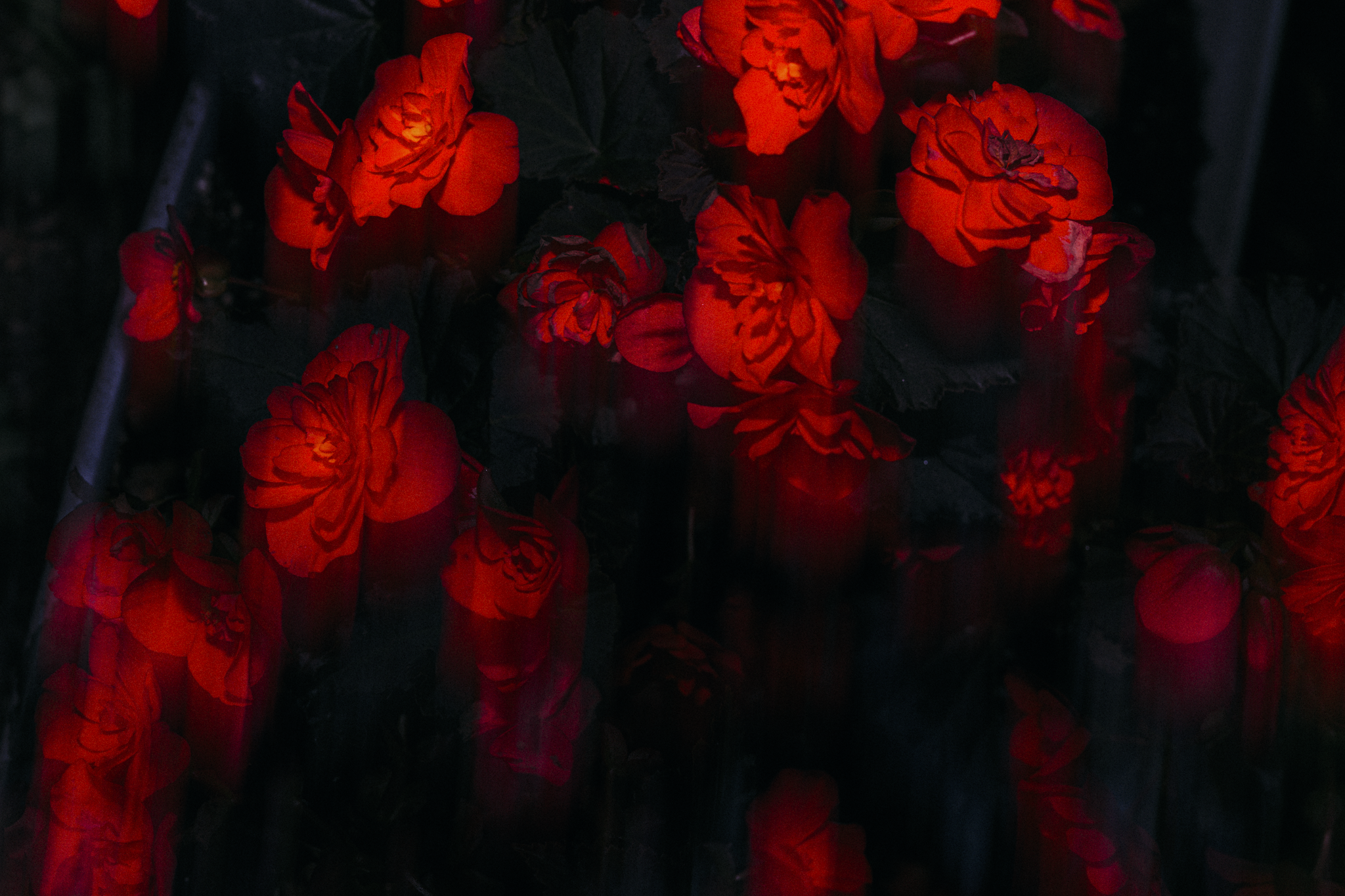 Album art concepts