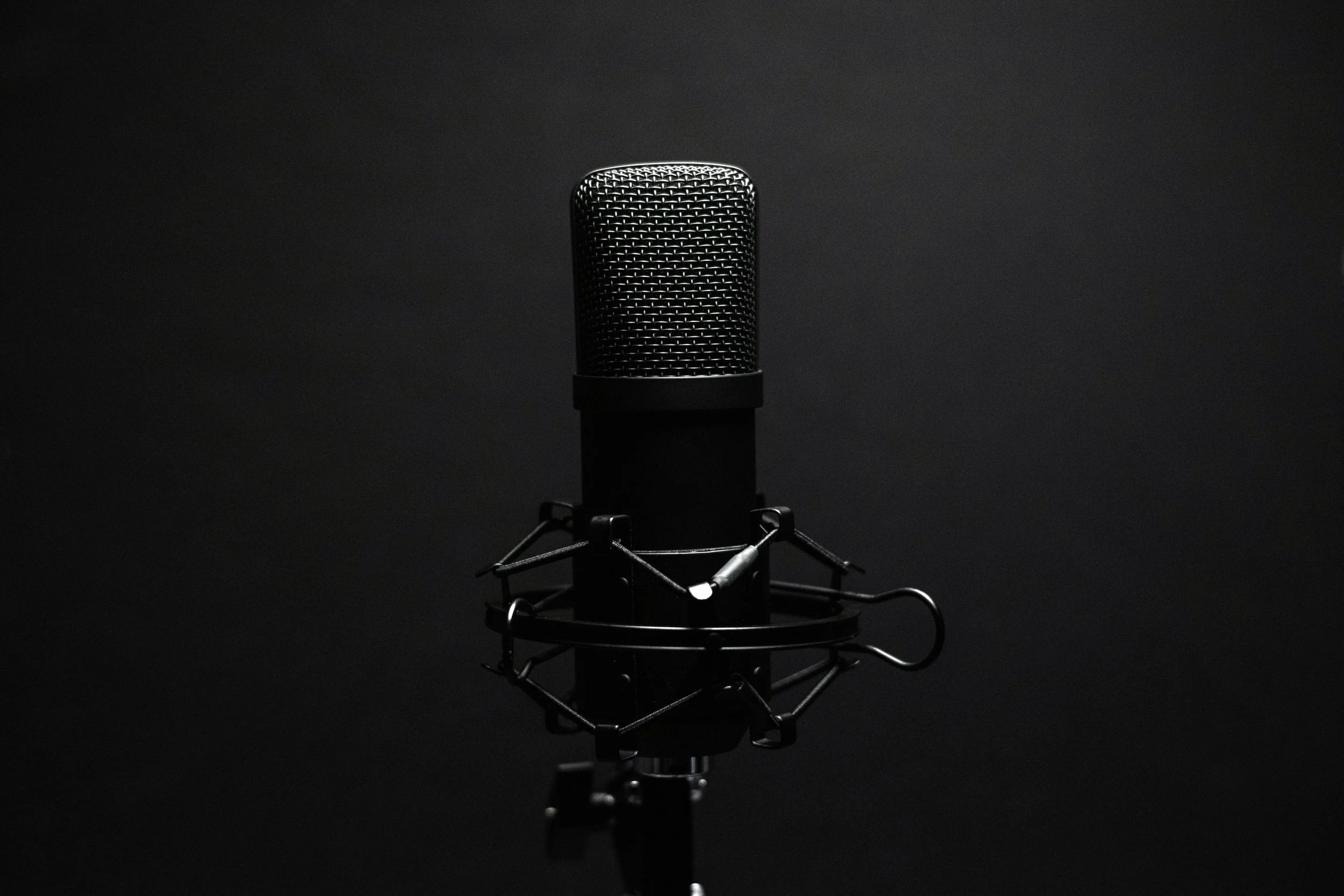 A professional microphone with a pop filter in a dark setting.