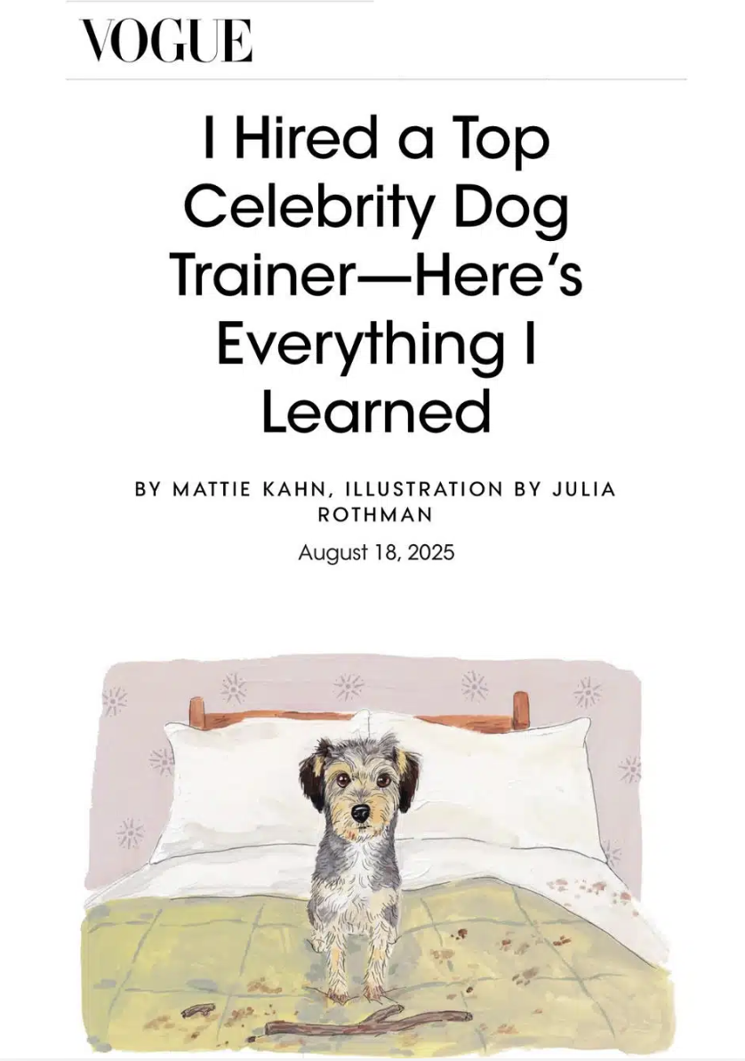 Screen Shot 2026-02-12 at 2.26.38 PM.png