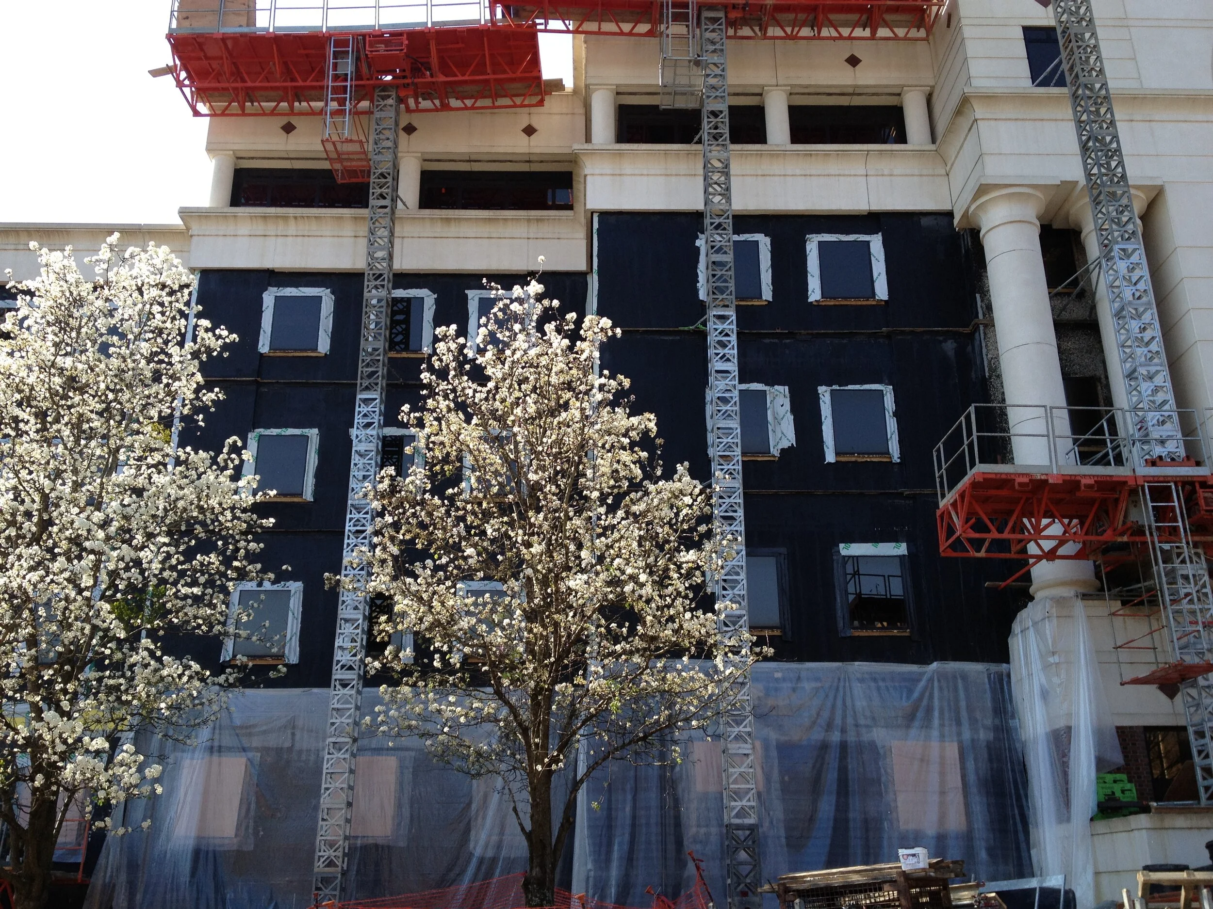 Construction site of a multi-story building with scaffolding, cranes, and wrapped exterior walls, with blooming trees in the foreground.