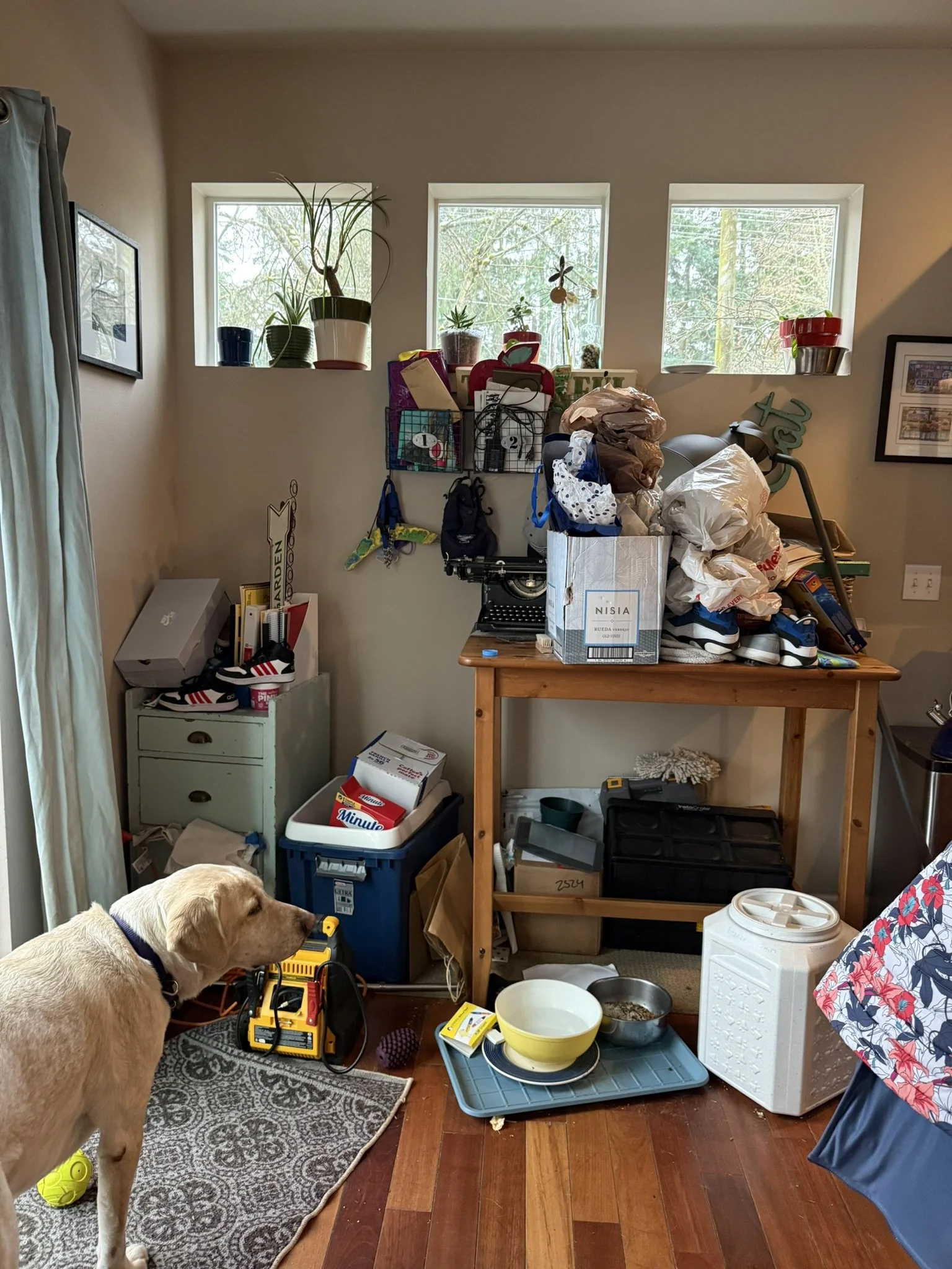 A cluttered indoor space with a wooden table covered in bags, boxes, and shoes, a dog standing on a rug, and various household items including bowls, a cooler, and boxes.