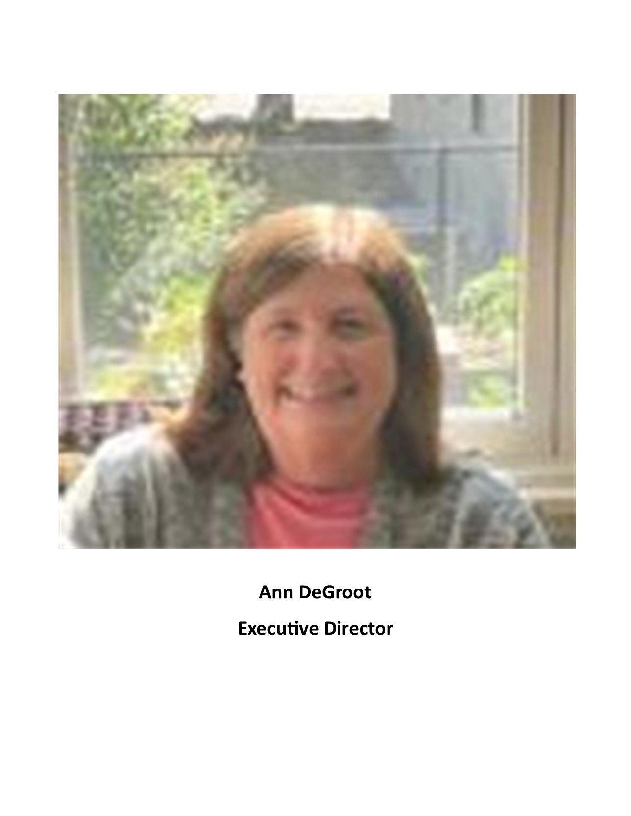 2026 HNC June Huddle - Ann Degroot 2.jpg