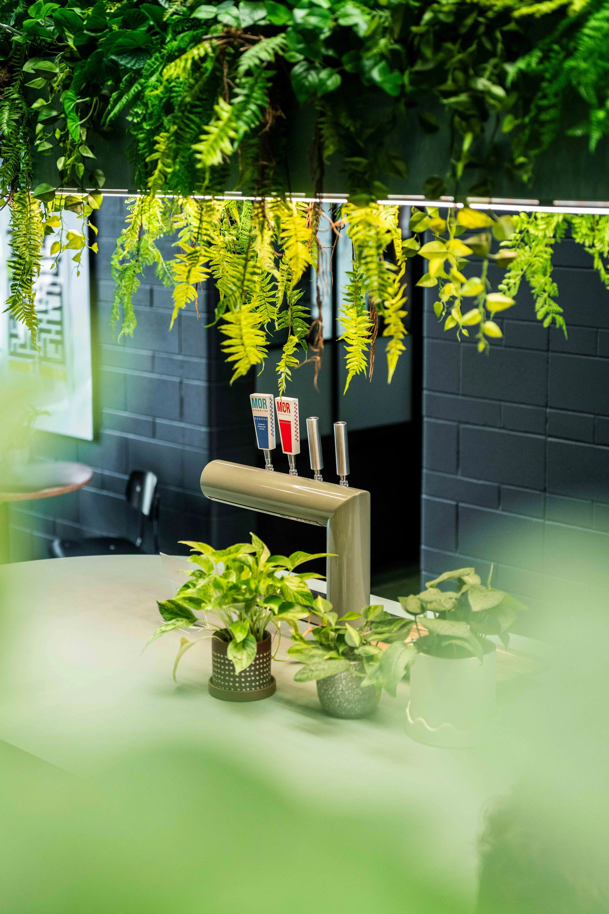 Compressed -00194.jpg