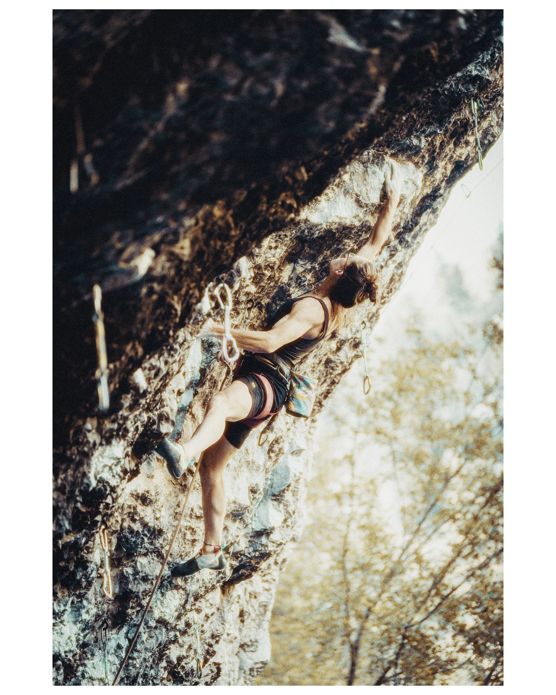 Collage Logan Canyon UVU 01.jpg