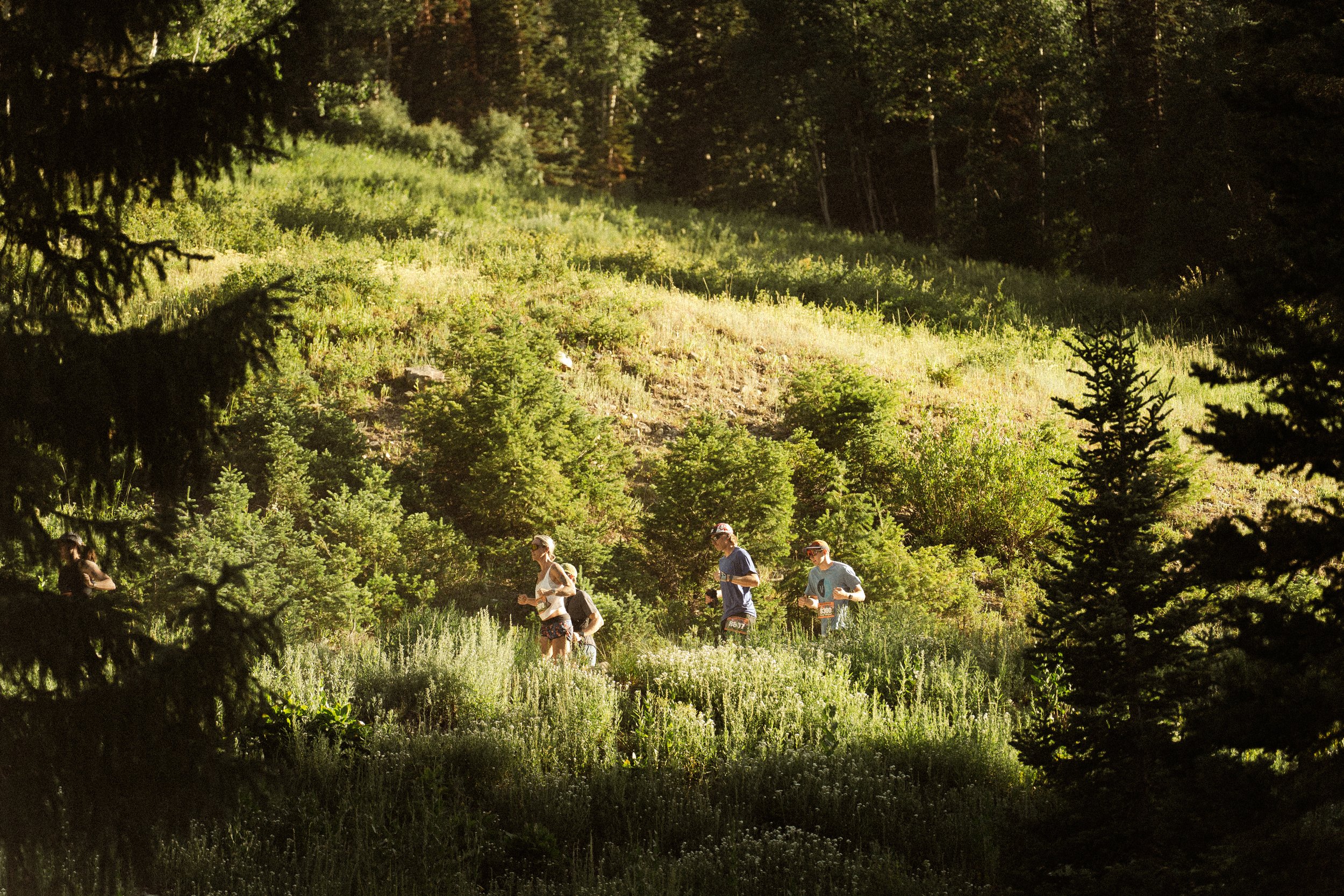 5 star styleized Snowbird Trail Race July 16th-19.jpeg