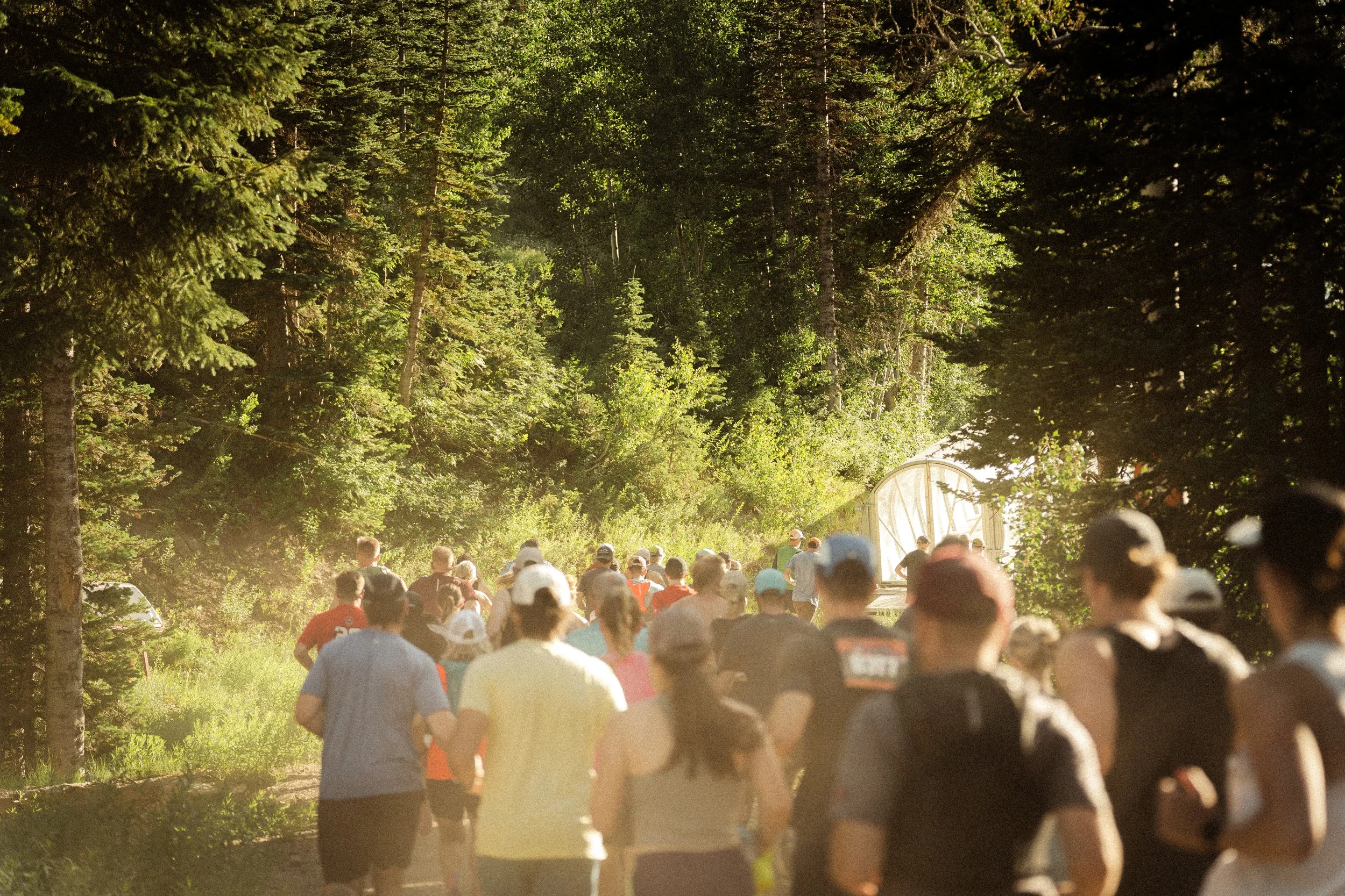 5 star styleized Snowbird Trail Race July 16th-18.jpeg