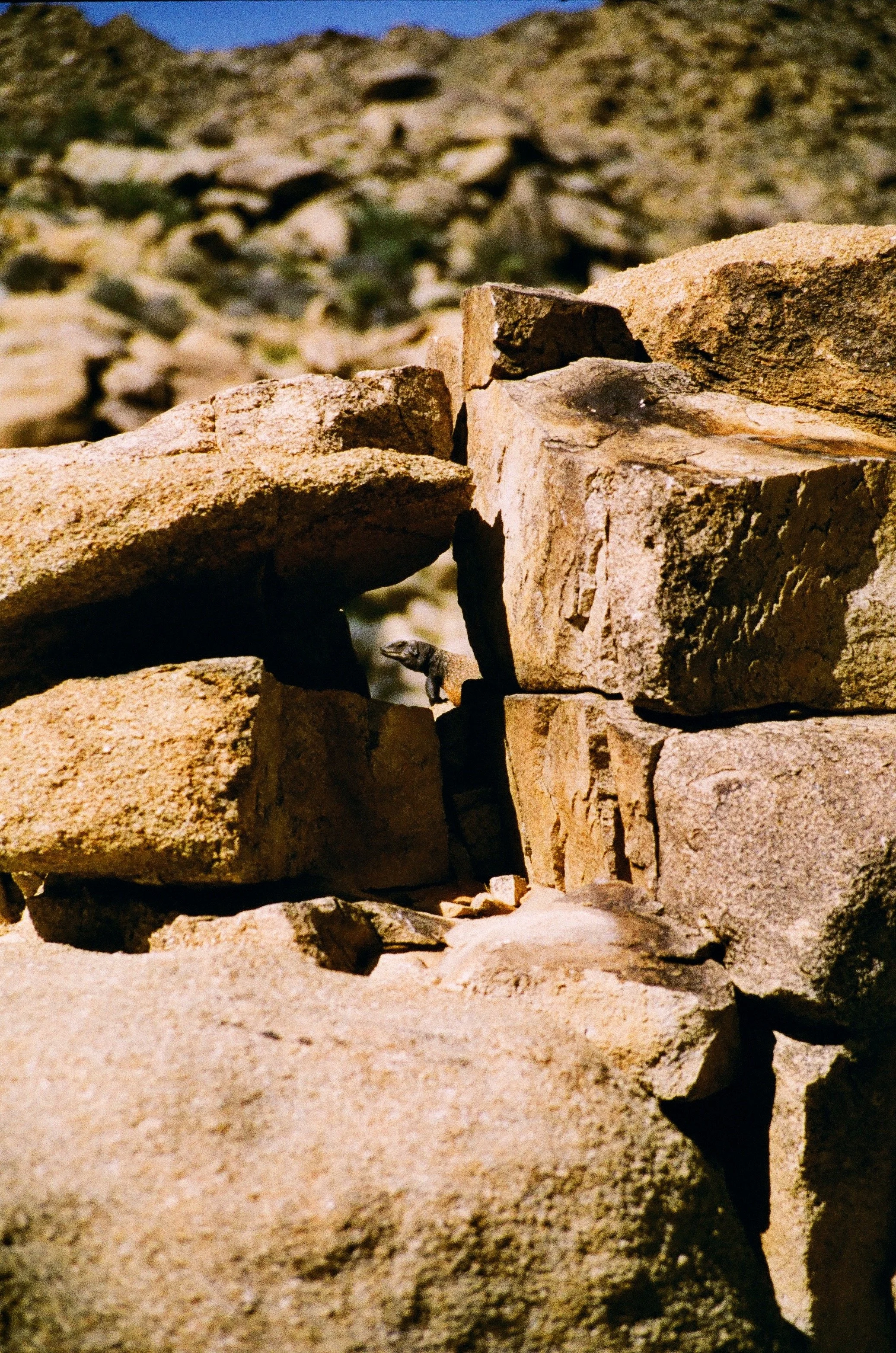 000085920031_SnapseedCopy 2.jpg