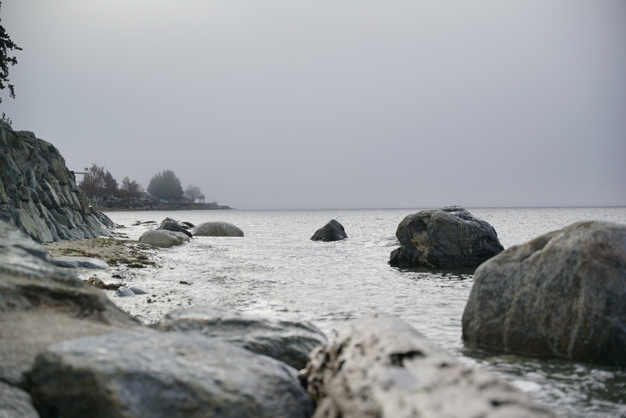 Overcast scene of a rocky shoreline with boulders, calm water, and trees in the distance.
