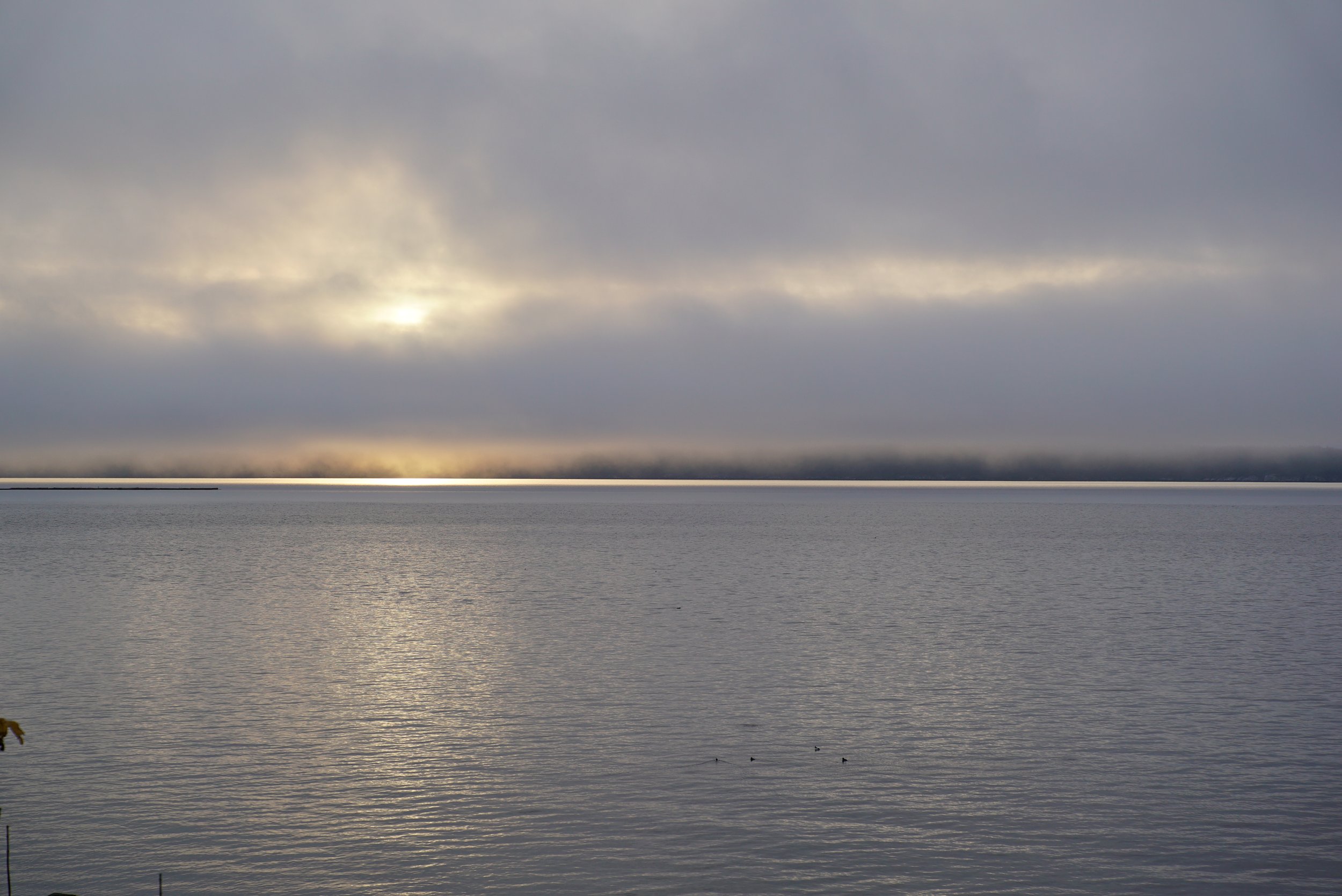 Overcast sky with the sun partially obscured by clouds over a calm lake, with a few birds floating on the water.