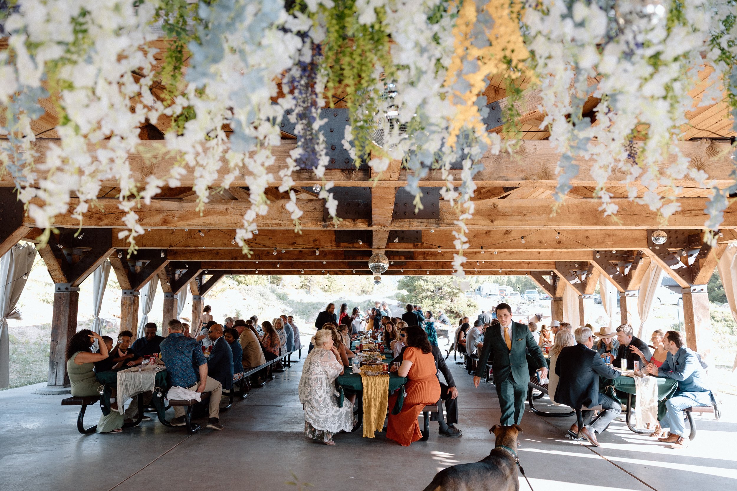 People sitting at long tables under a wooden pavilion decorated with hanging flowers, with some standing and walking, and a dog in the foreground.