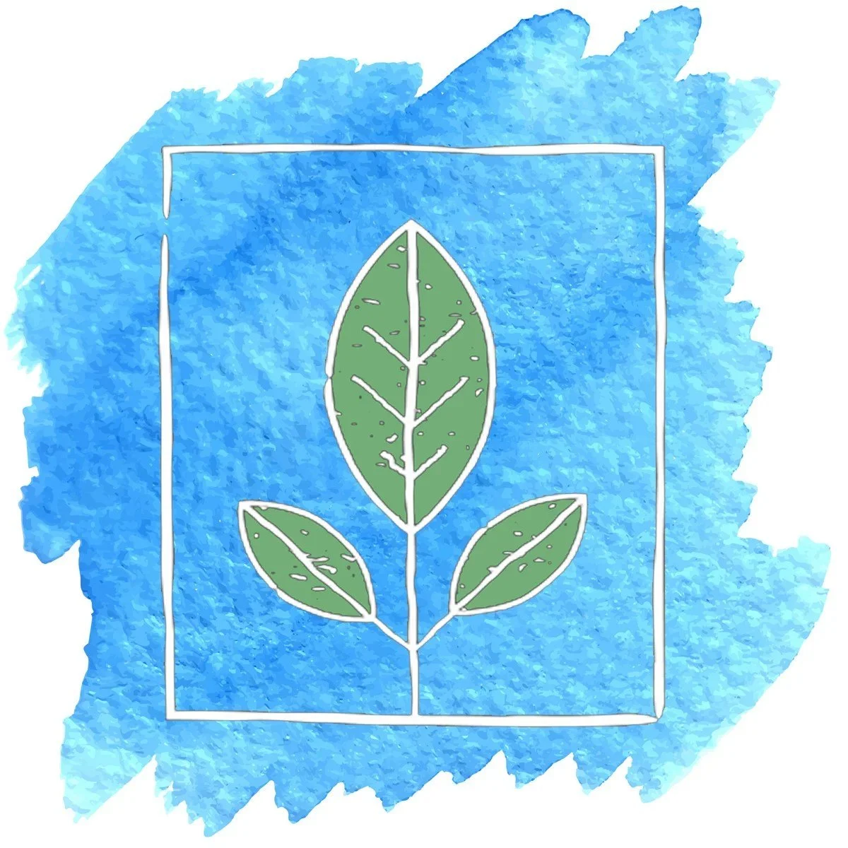 Pastoral Notes - August 13, 2017