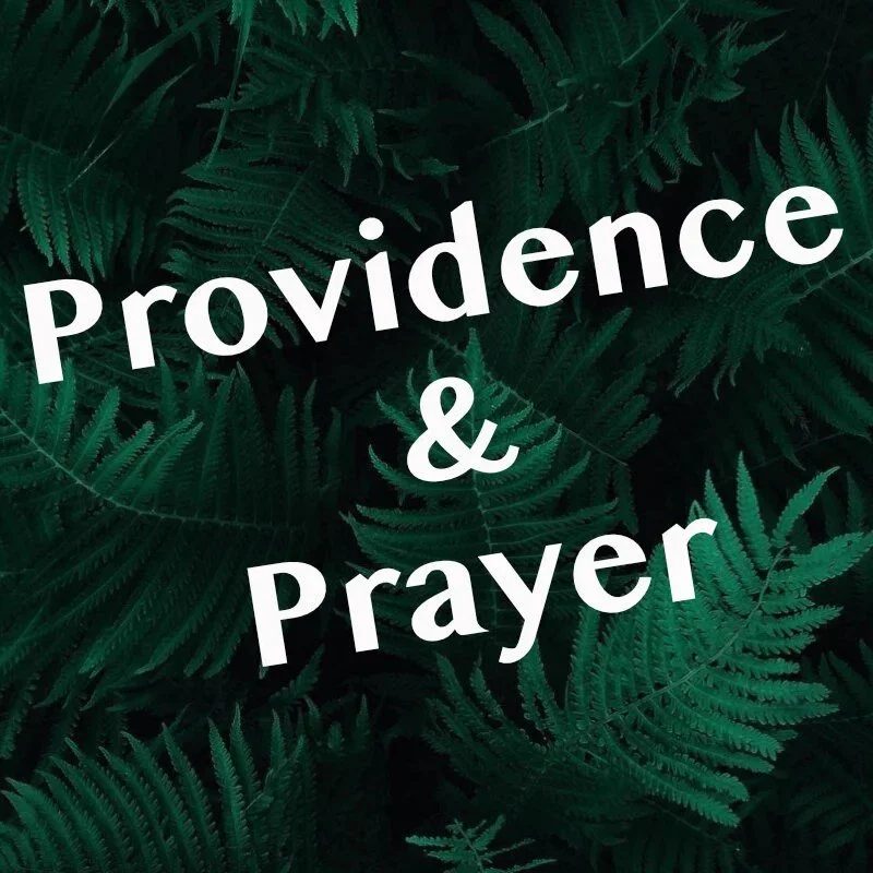 Providence and Prayer: Part 2