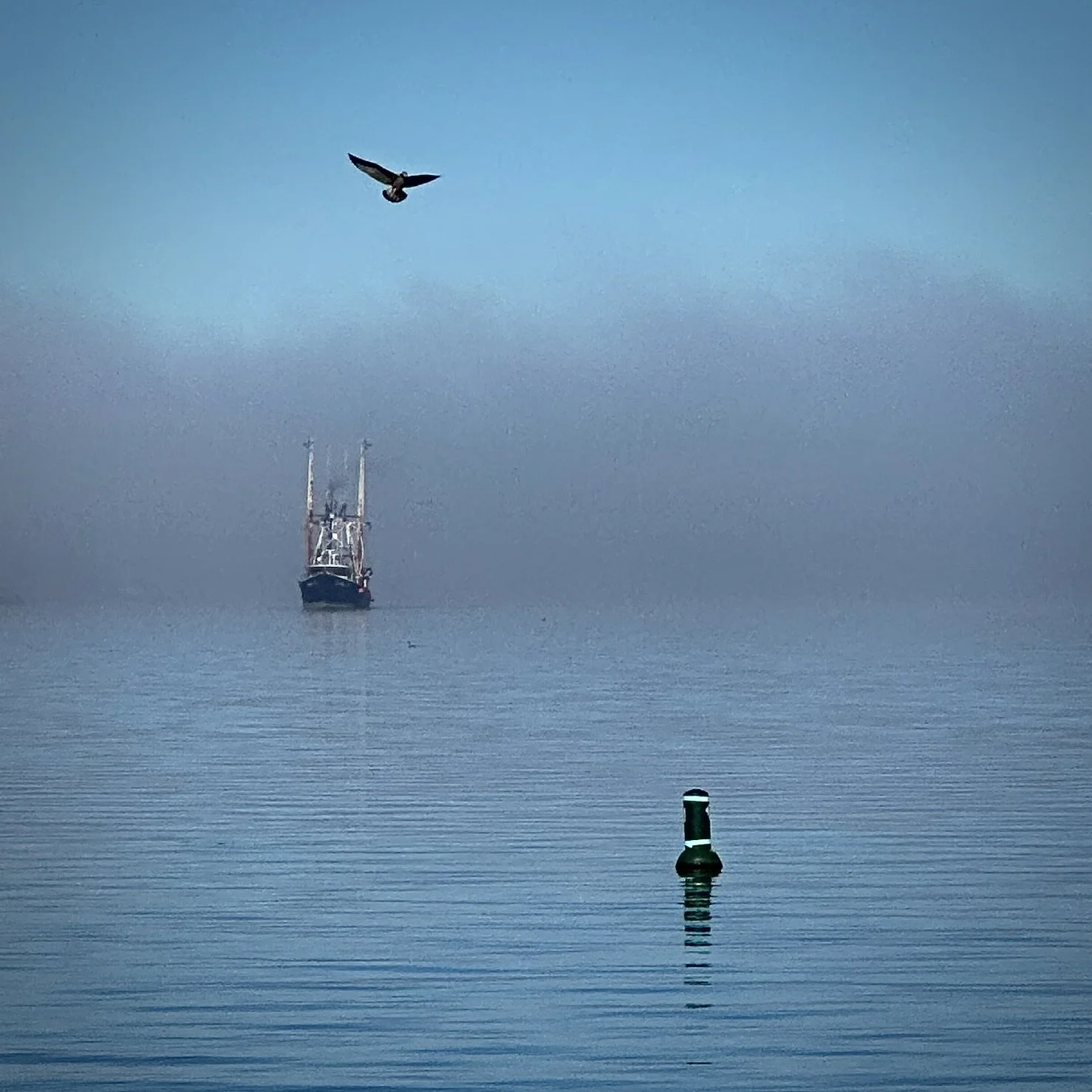 Still Harbor on the South Coast