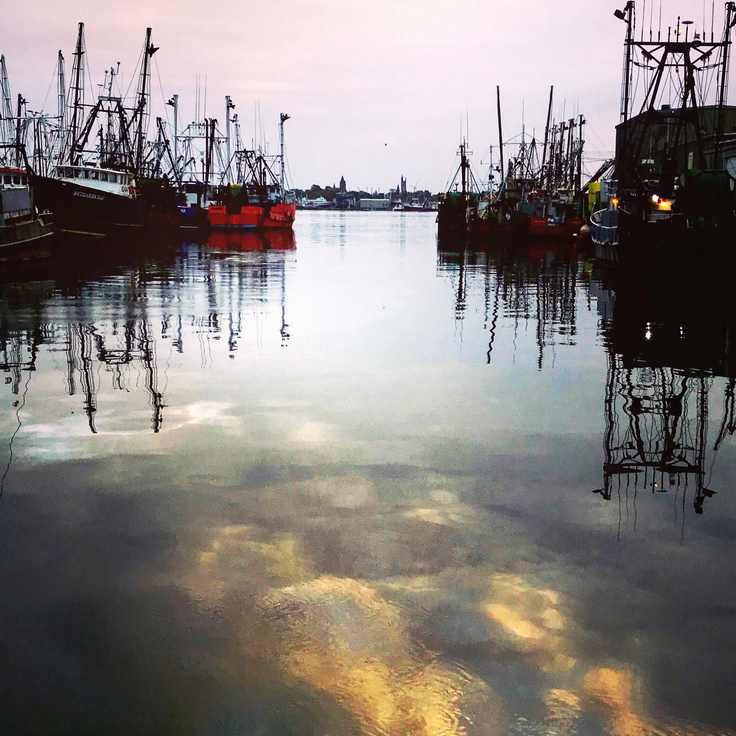 Where the Harbor Holds Its Breath