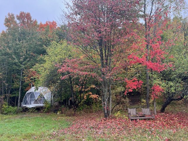 forest dome, ayurvedic bodywork, massage, holistic wellness, reduce stress