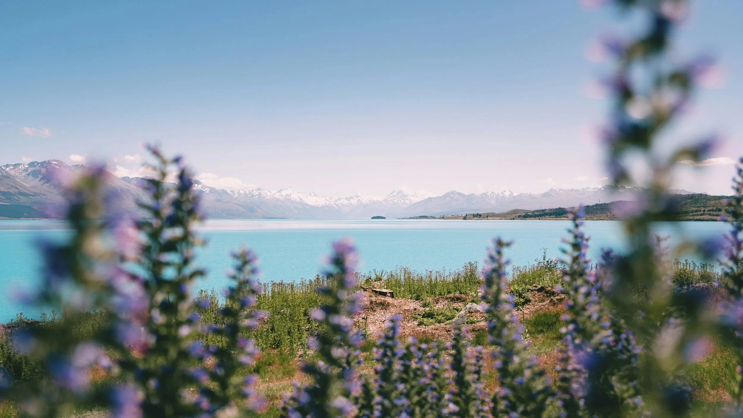 view of a turquoise lake with mountains in the background, snow-capped peaks under a clear sky, and purple wildflowers in the foreground. Immerse yourself in Nature, massage and Ayurvedic practices. Improve your Health- reduce stress