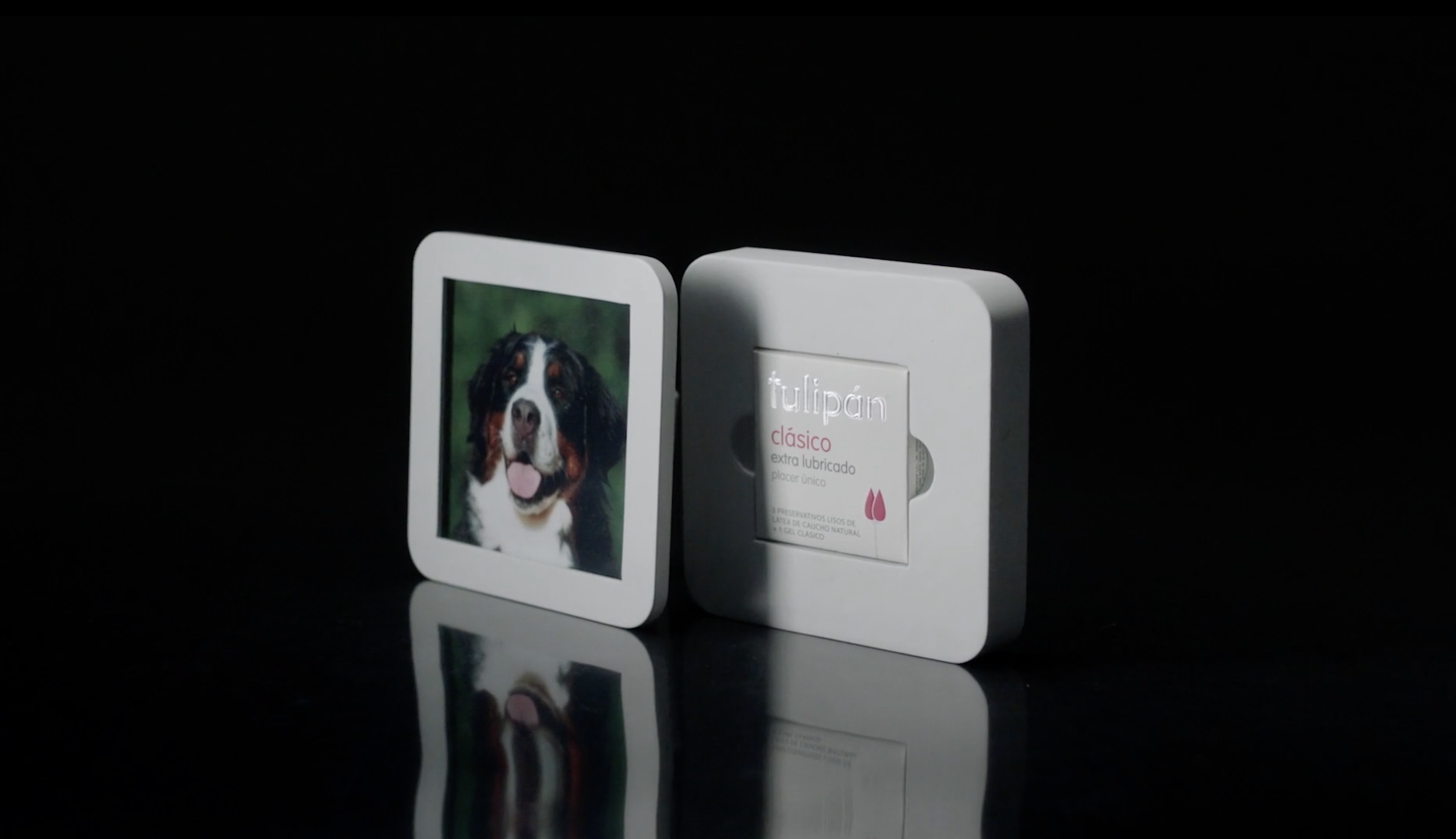 Tulipan → Mood Savers