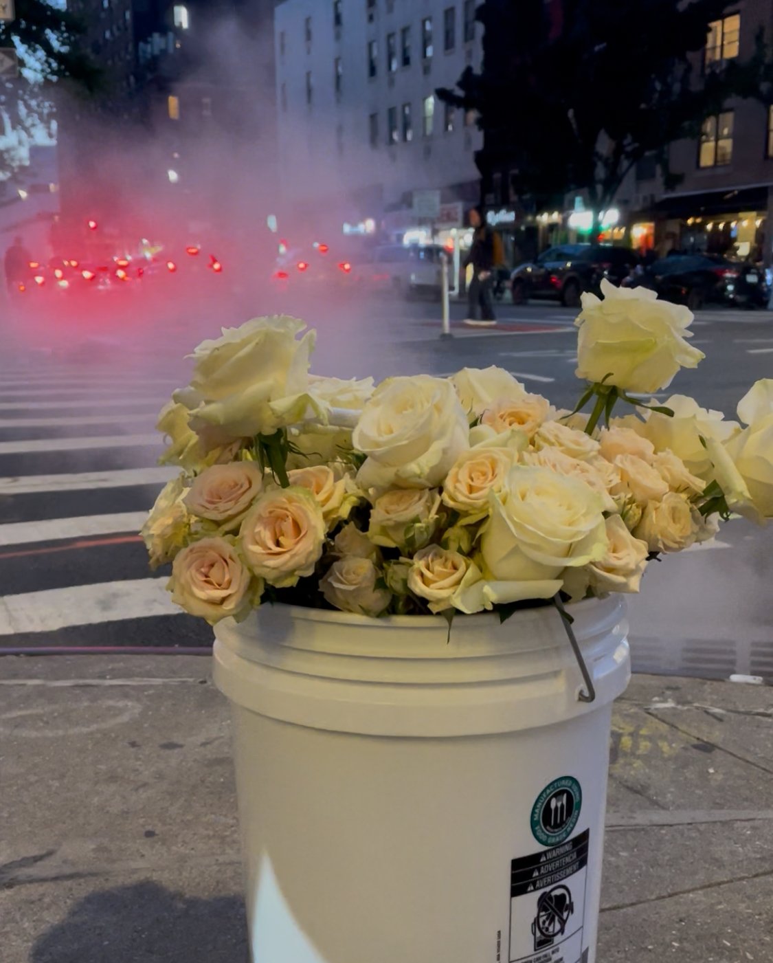 A white bucket filled with pale pink and white roses on a city sidewalk at dusk, with a crosswalk and city street with cars and buildings in the background.