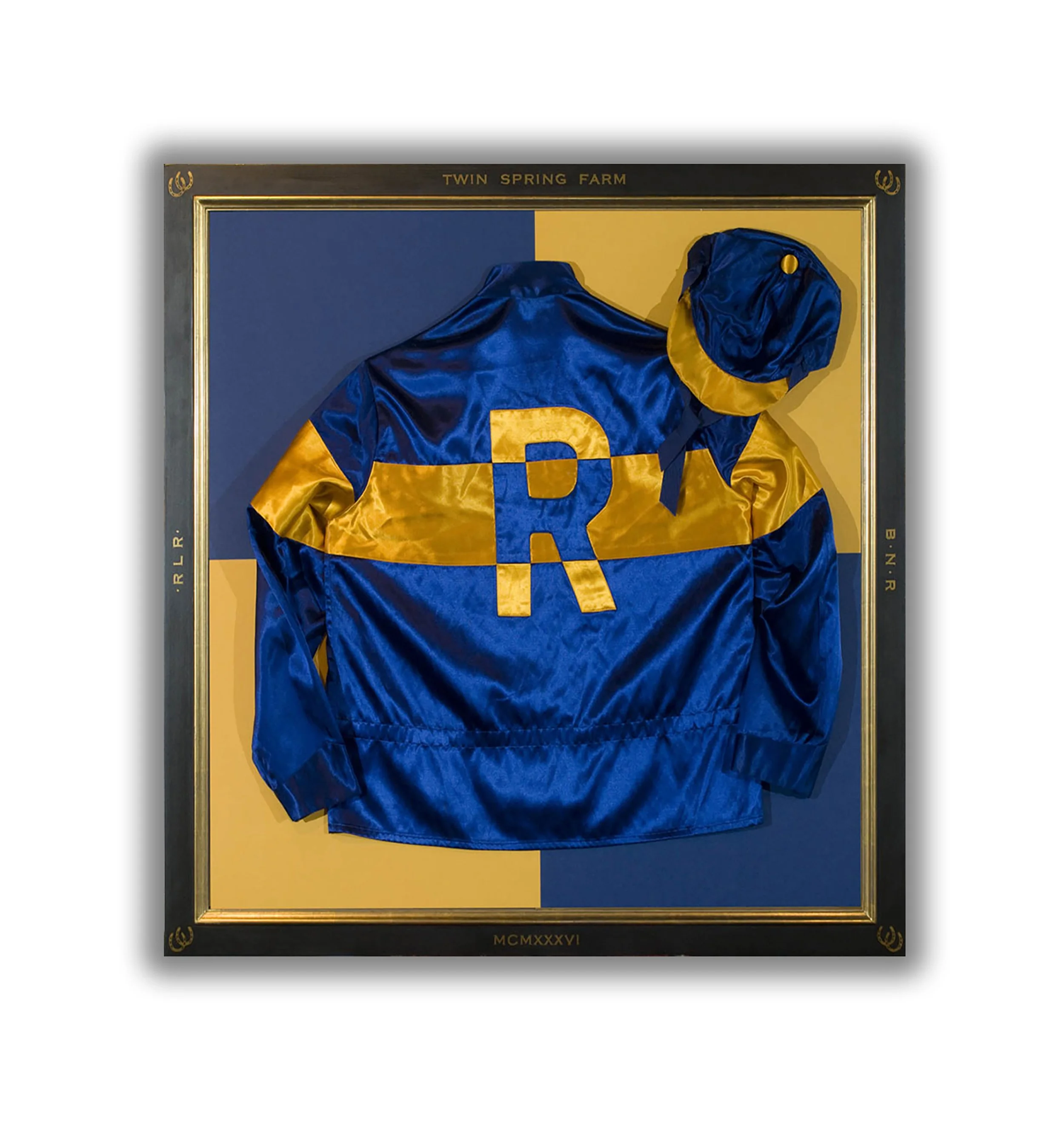 Rene Jockey Silks.jpg